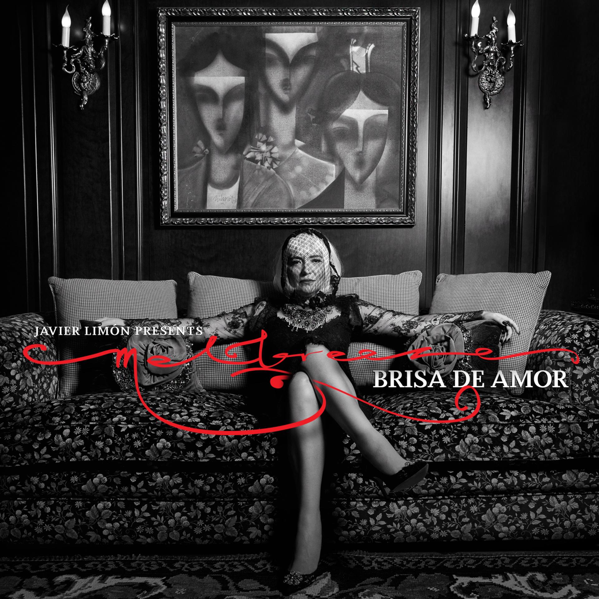Постер альбома Brisa de Amor (Javier Limon Presents)