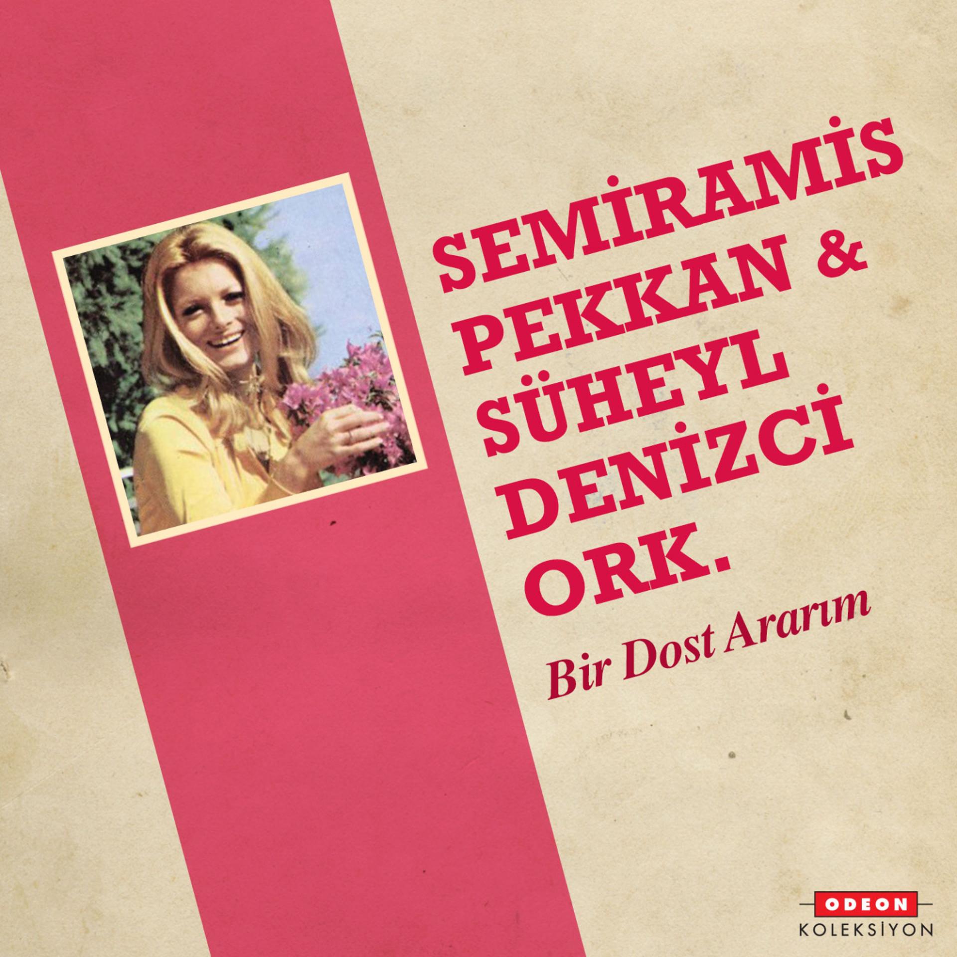 Постер альбома Bir Dost Ararım