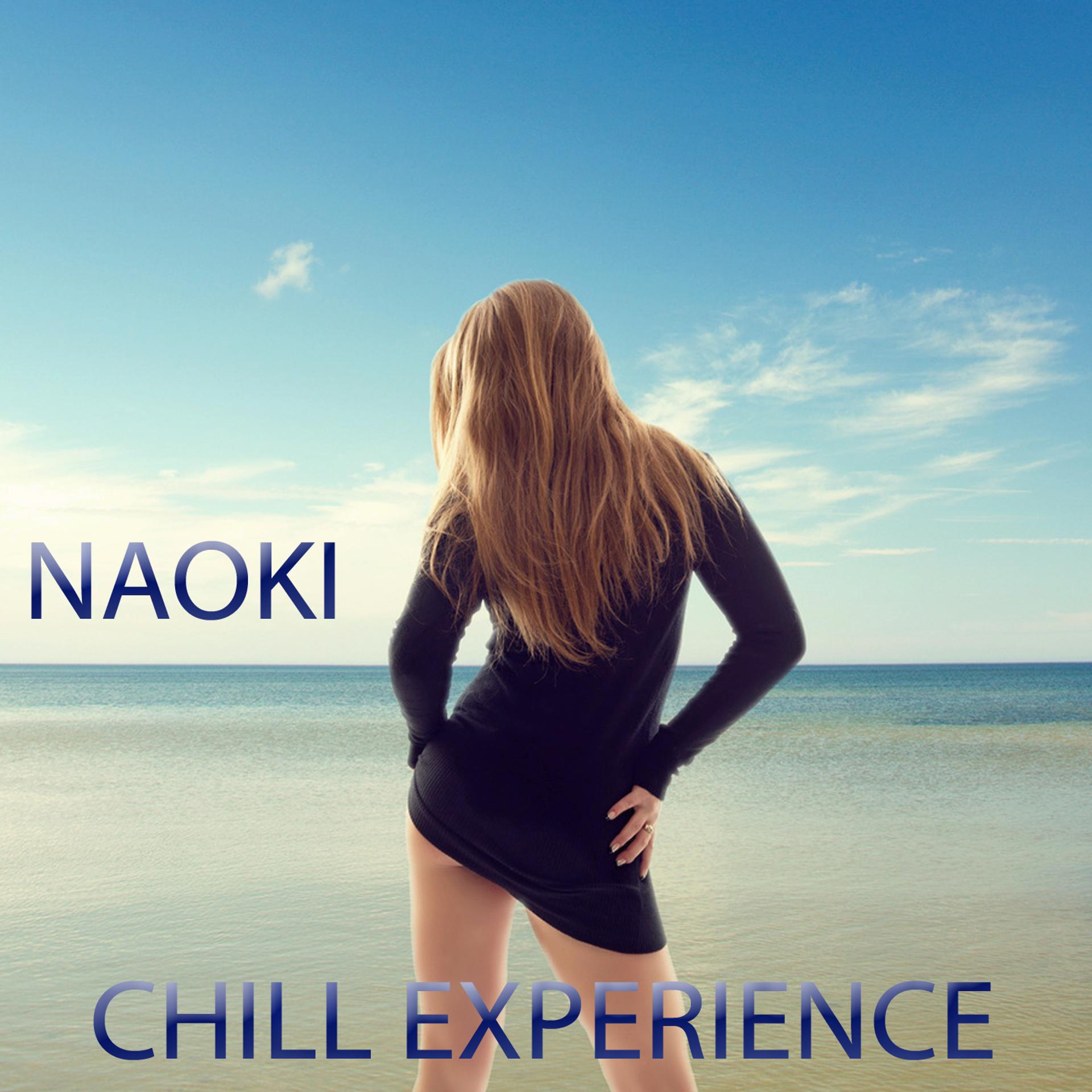 Постер альбома Chill Experience