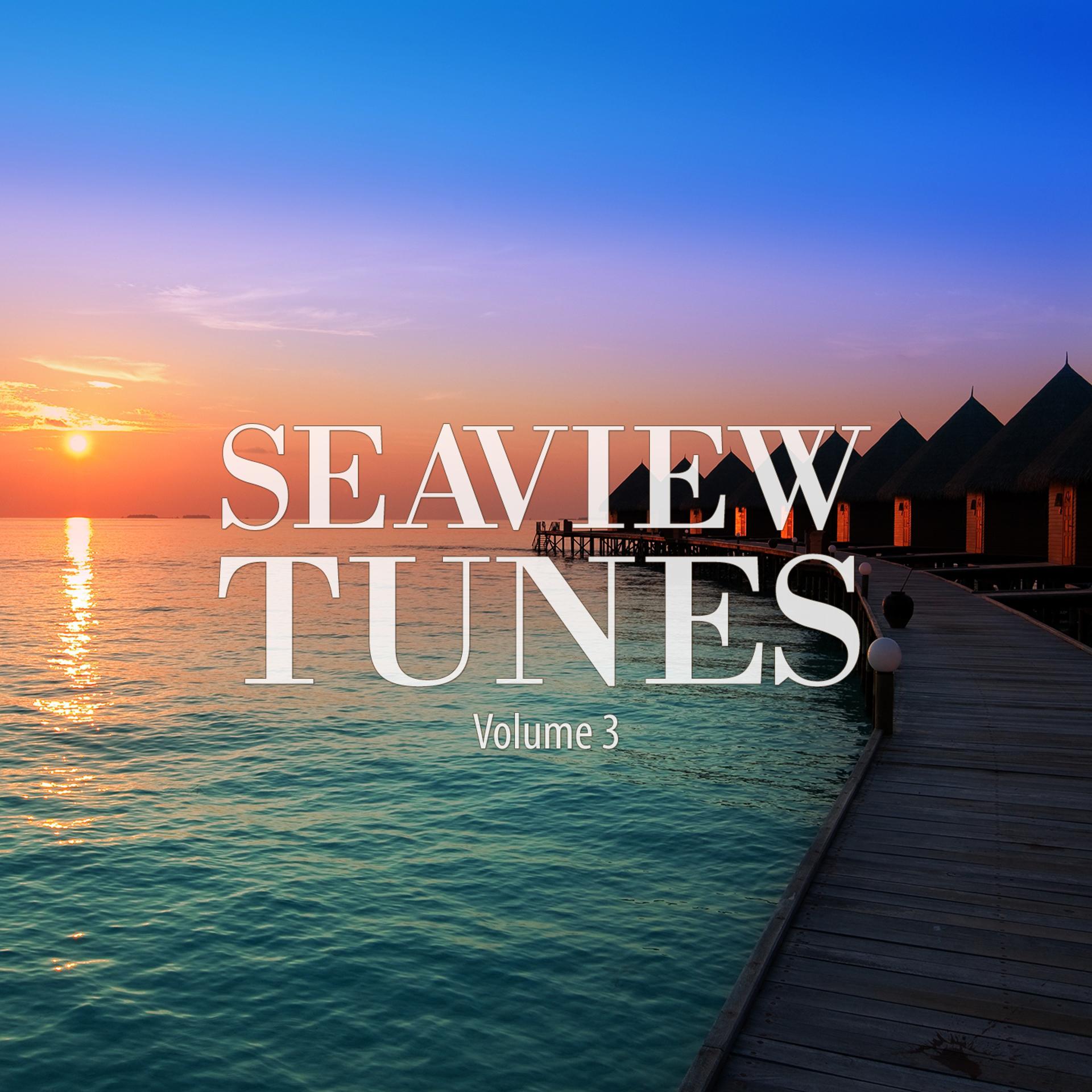 Постер альбома Seaview Tunes, Vol. 3
