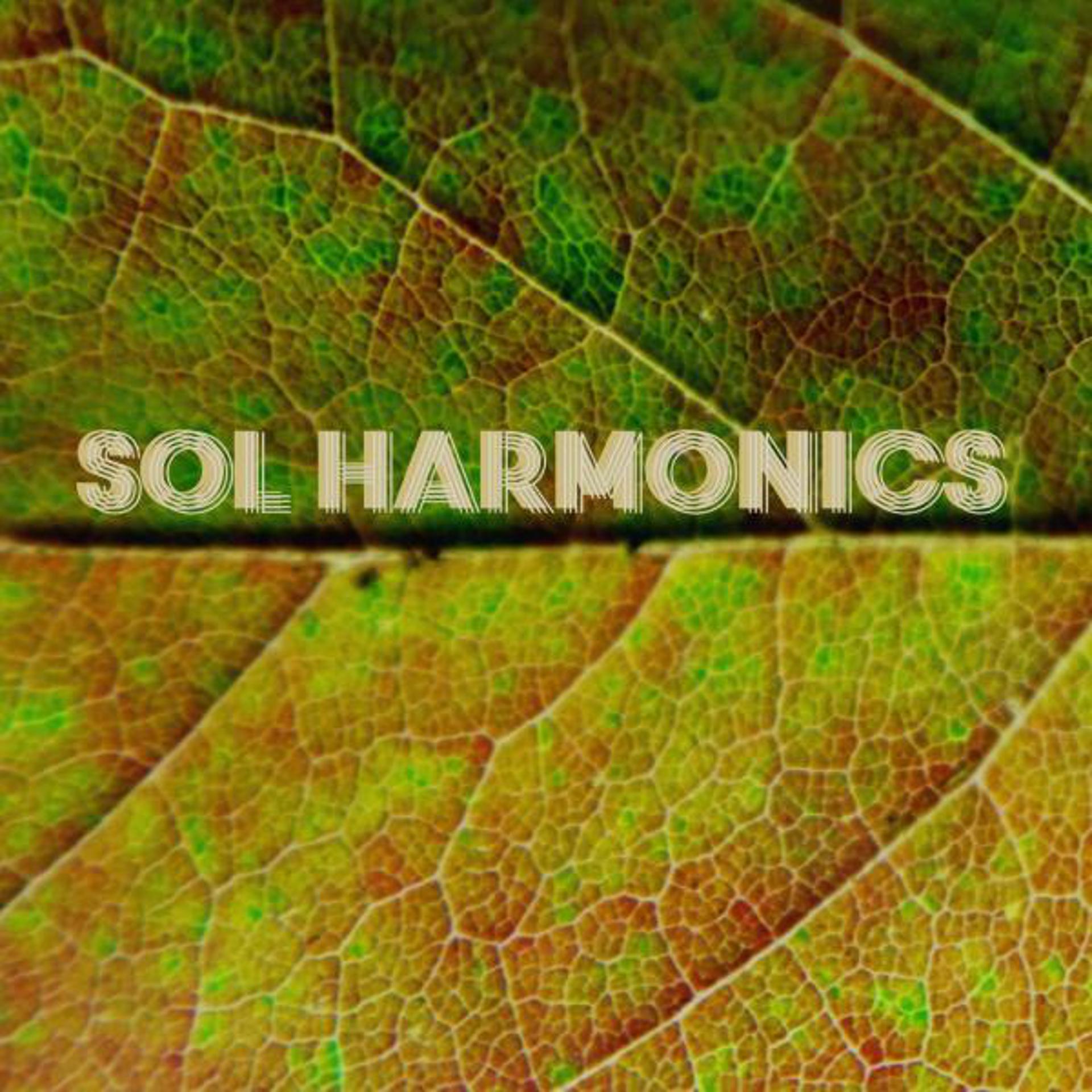 Постер альбома Sol Harmonics