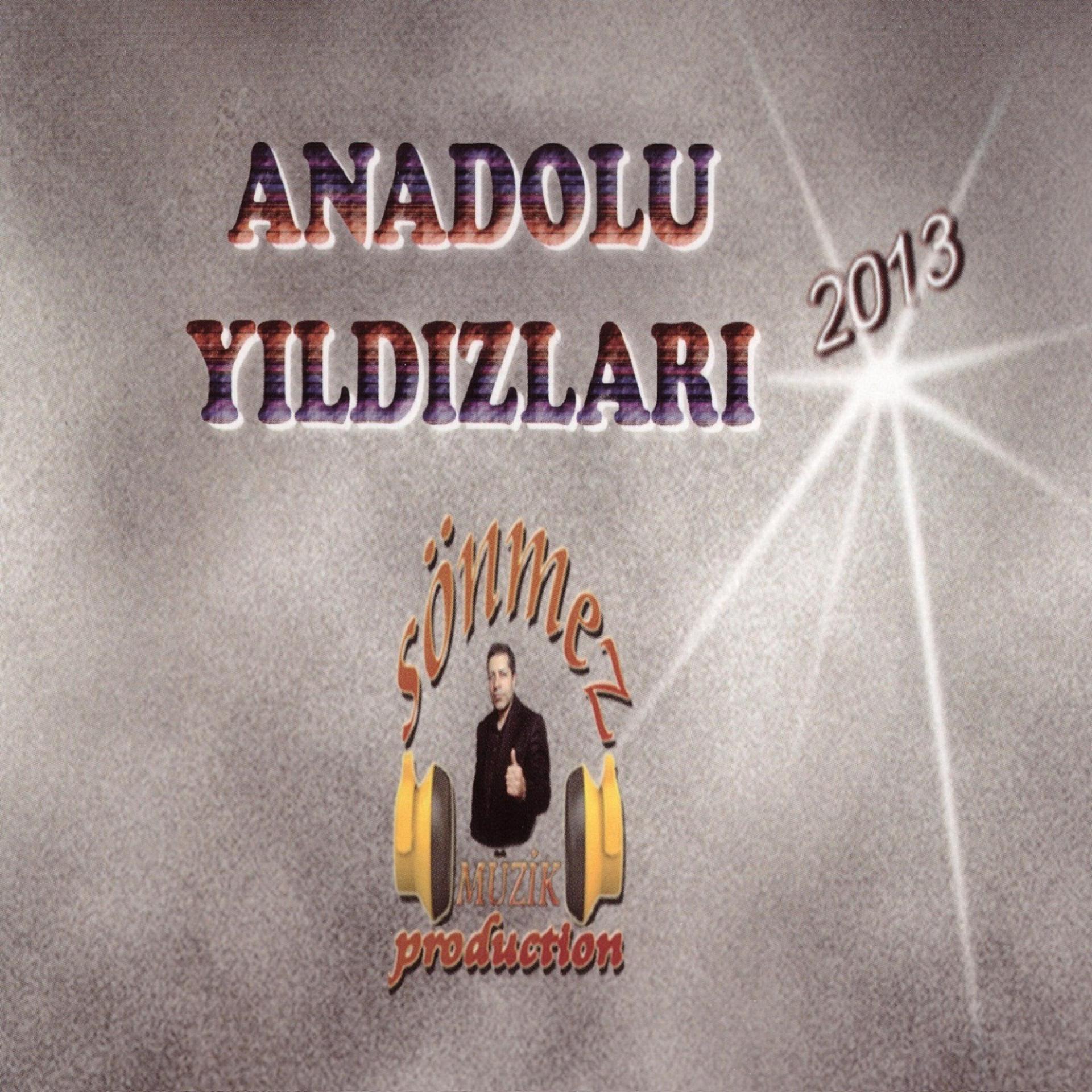Постер альбома Anadolu Yıldızları