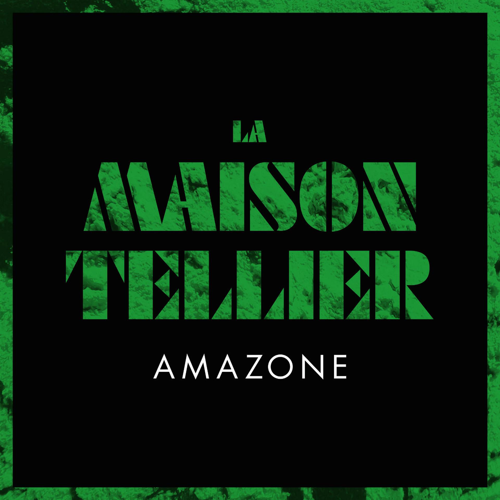 Постер альбома Amazone
