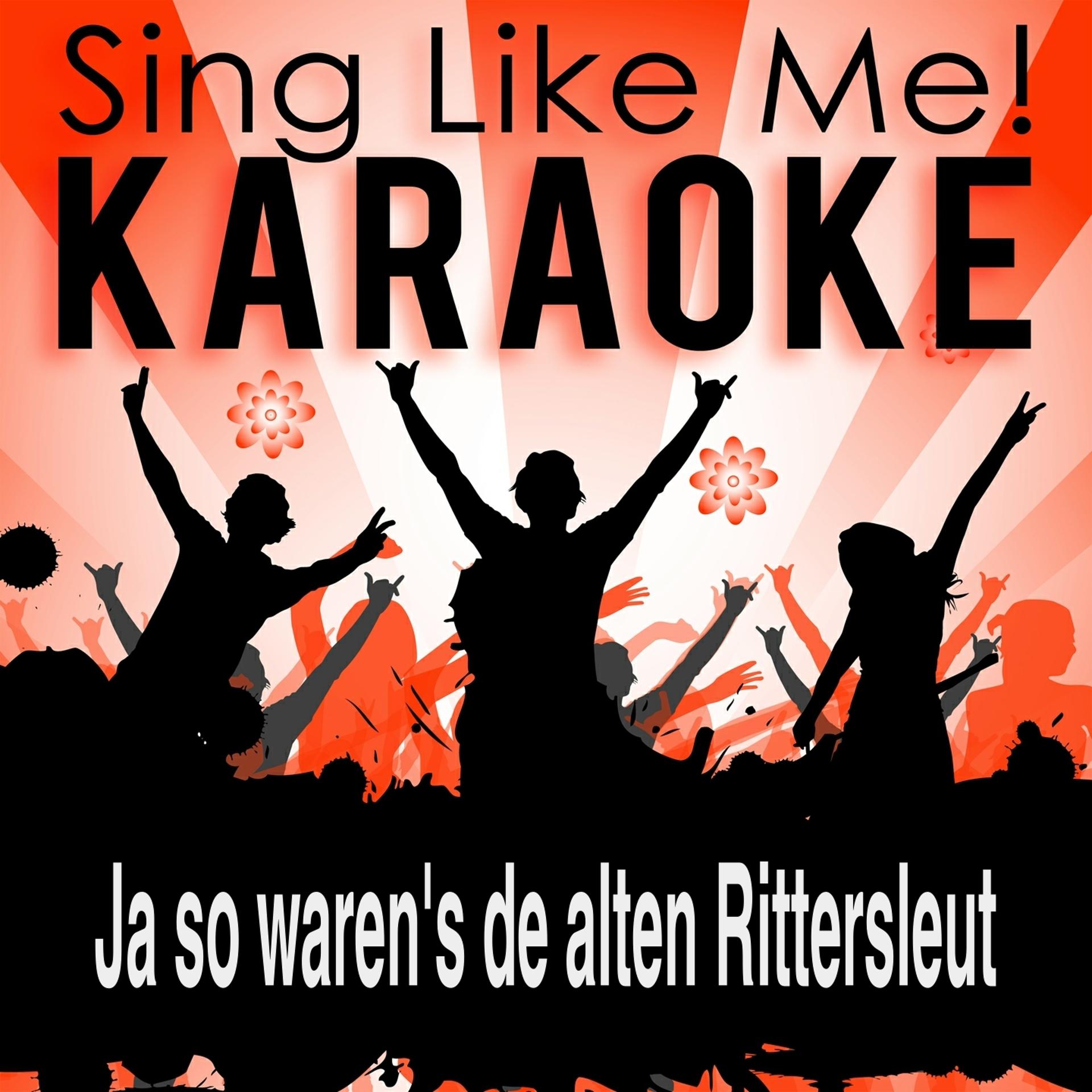 Постер альбома Ja so waren's de alten Rittersleut (Karaoke Version) (Originally Performed By Hot Dogs)