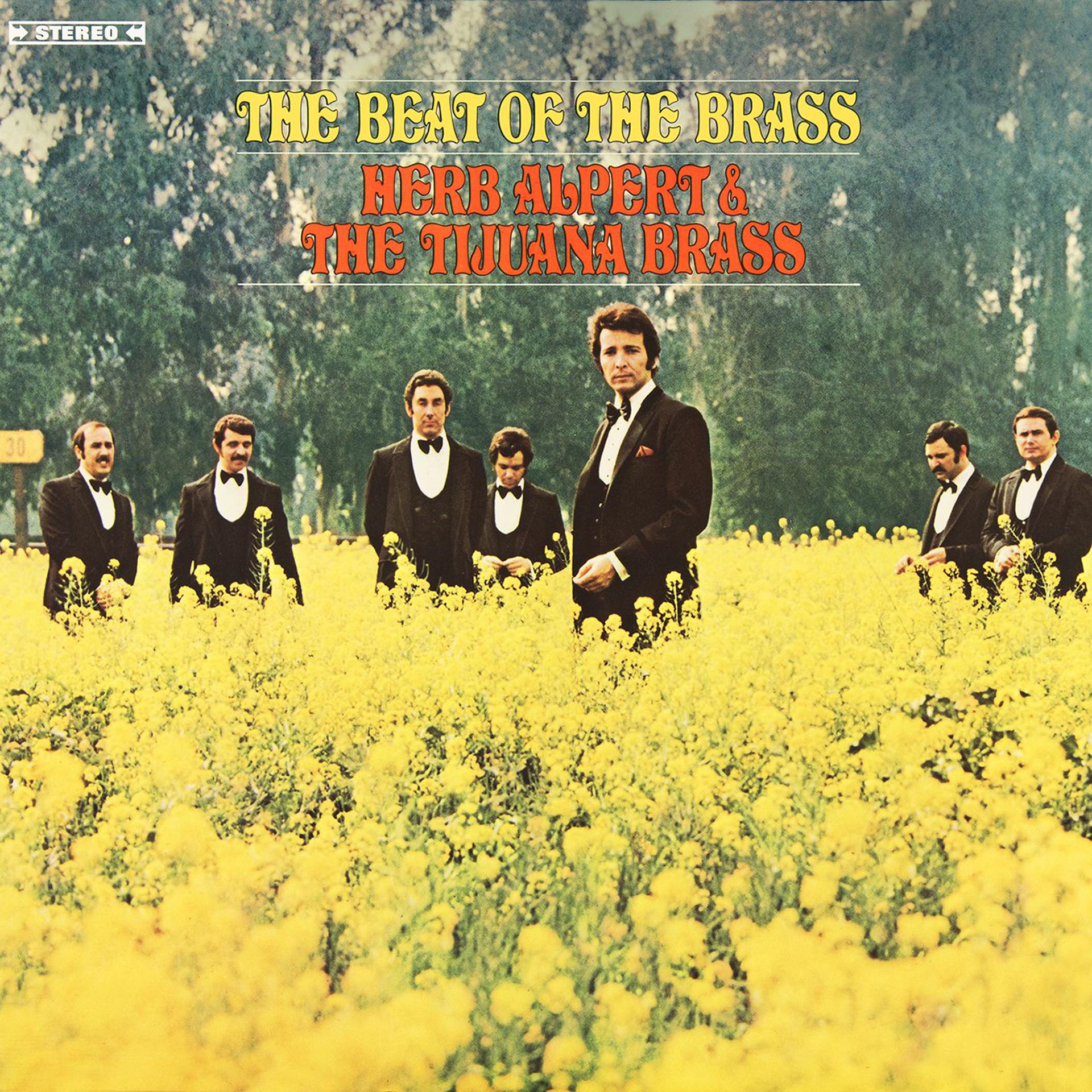 Постер альбома The Beat Of The Brass