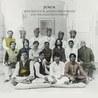 Постер альбома Junun