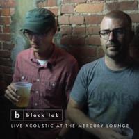 Постер альбома Live Acoustic at the Mercury Lounge