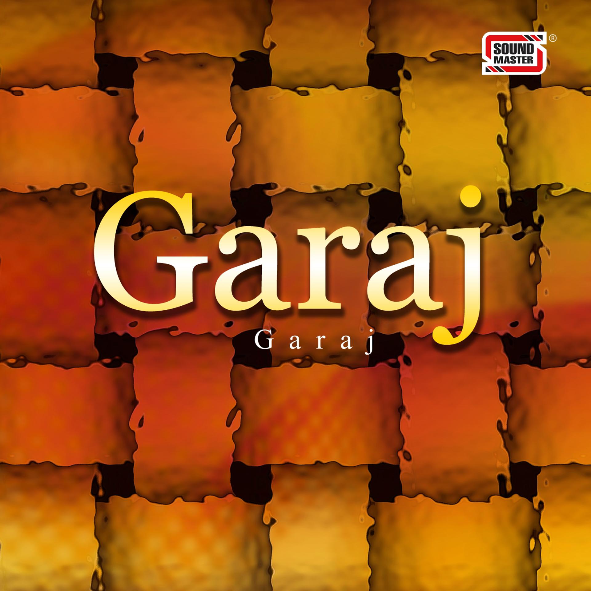Постер альбома Garaj