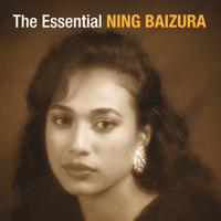 Постер альбома The Essential Ning Baizura