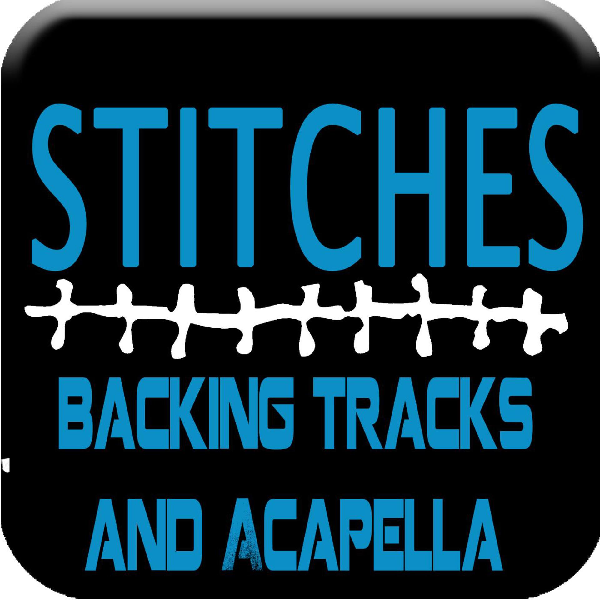 Постер альбома Stitches (Backing Tracks and Acapella)