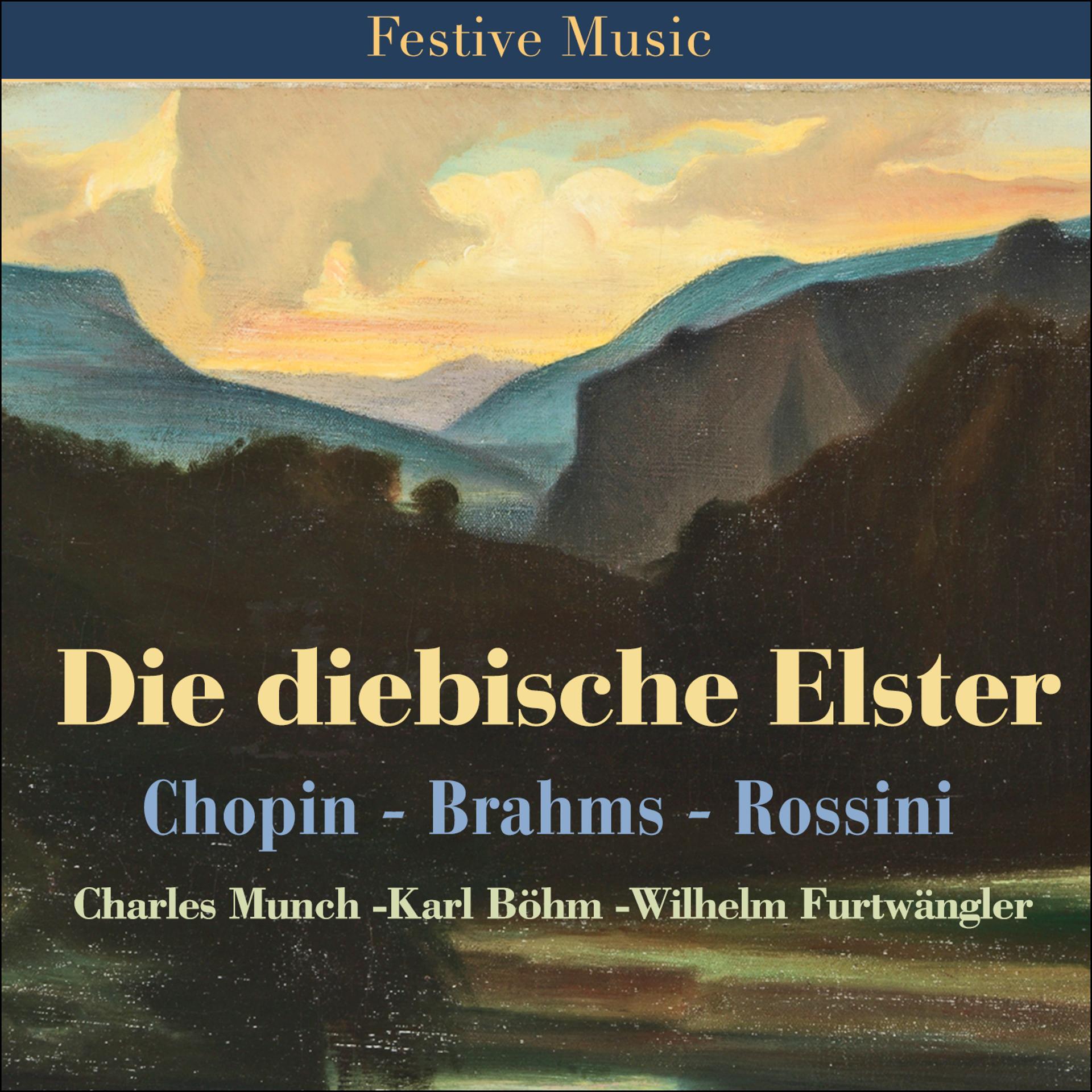 Постер альбома Die diebische Elster