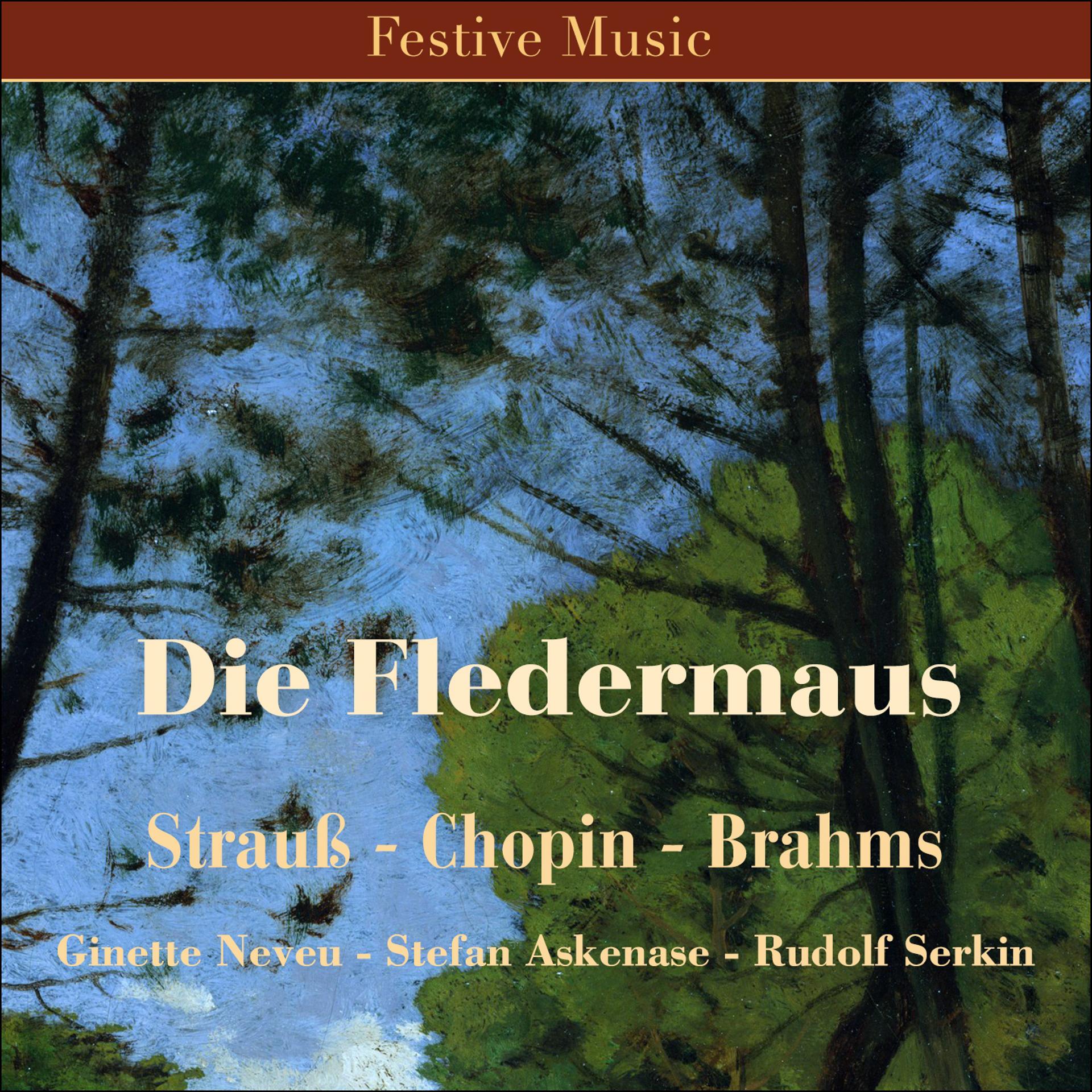 Постер альбома Die Fledermaus