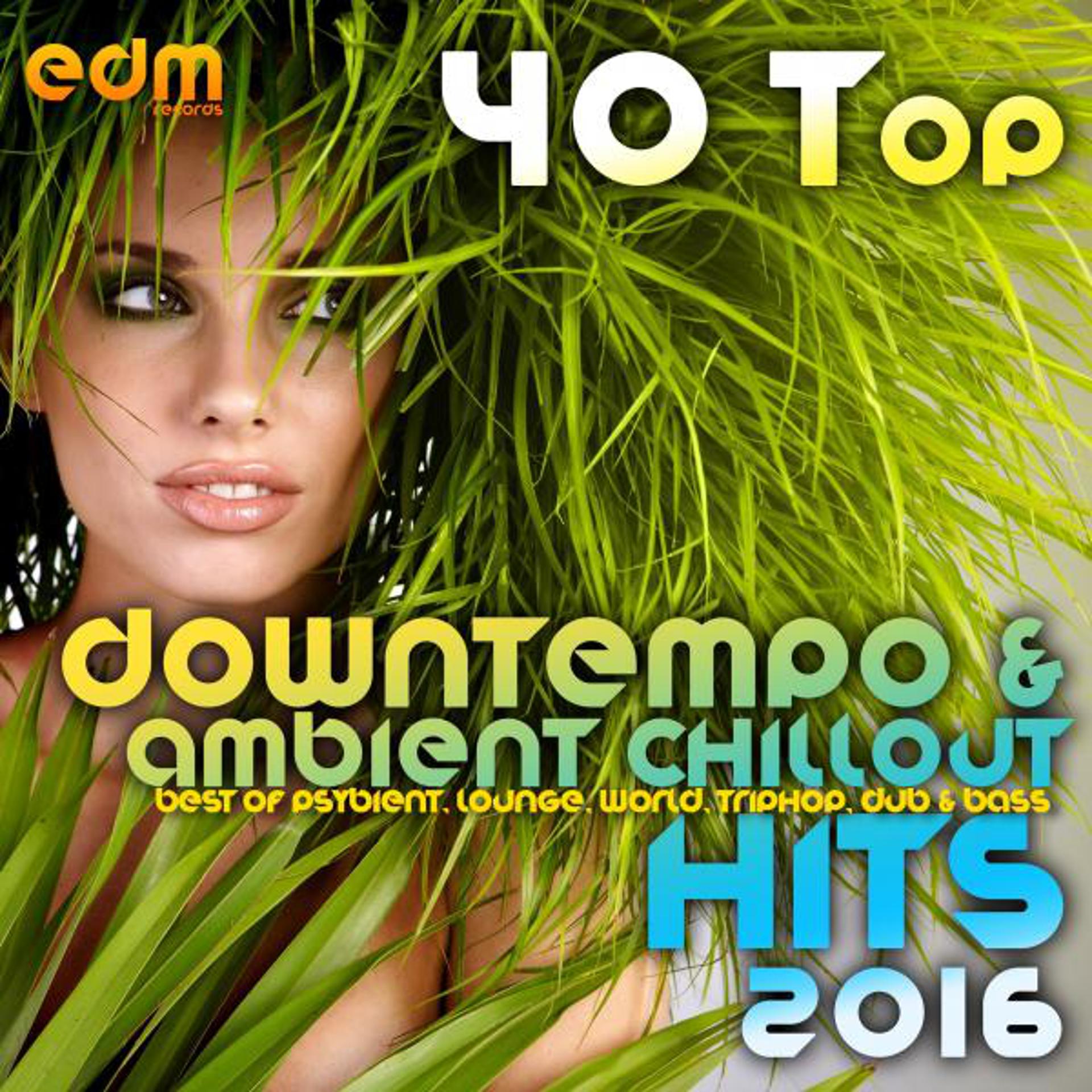 Постер альбома 40 Top Downtempo & Ambient Chillout Hits 2016 (Best Of Psybient, Lounge, World, TripHop, Dub & Bass)
