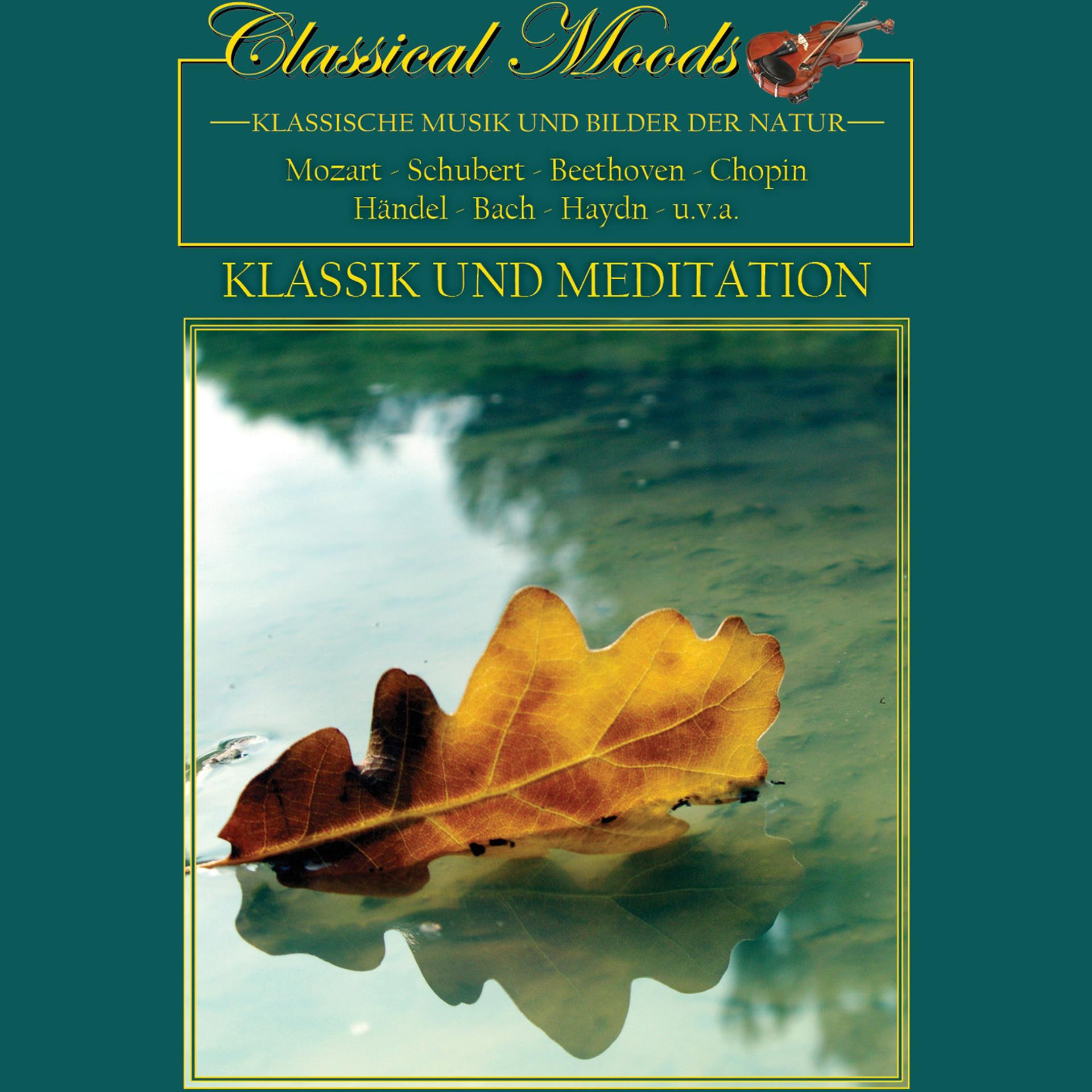 Постер альбома Classical Moods - Classic And Meditation
