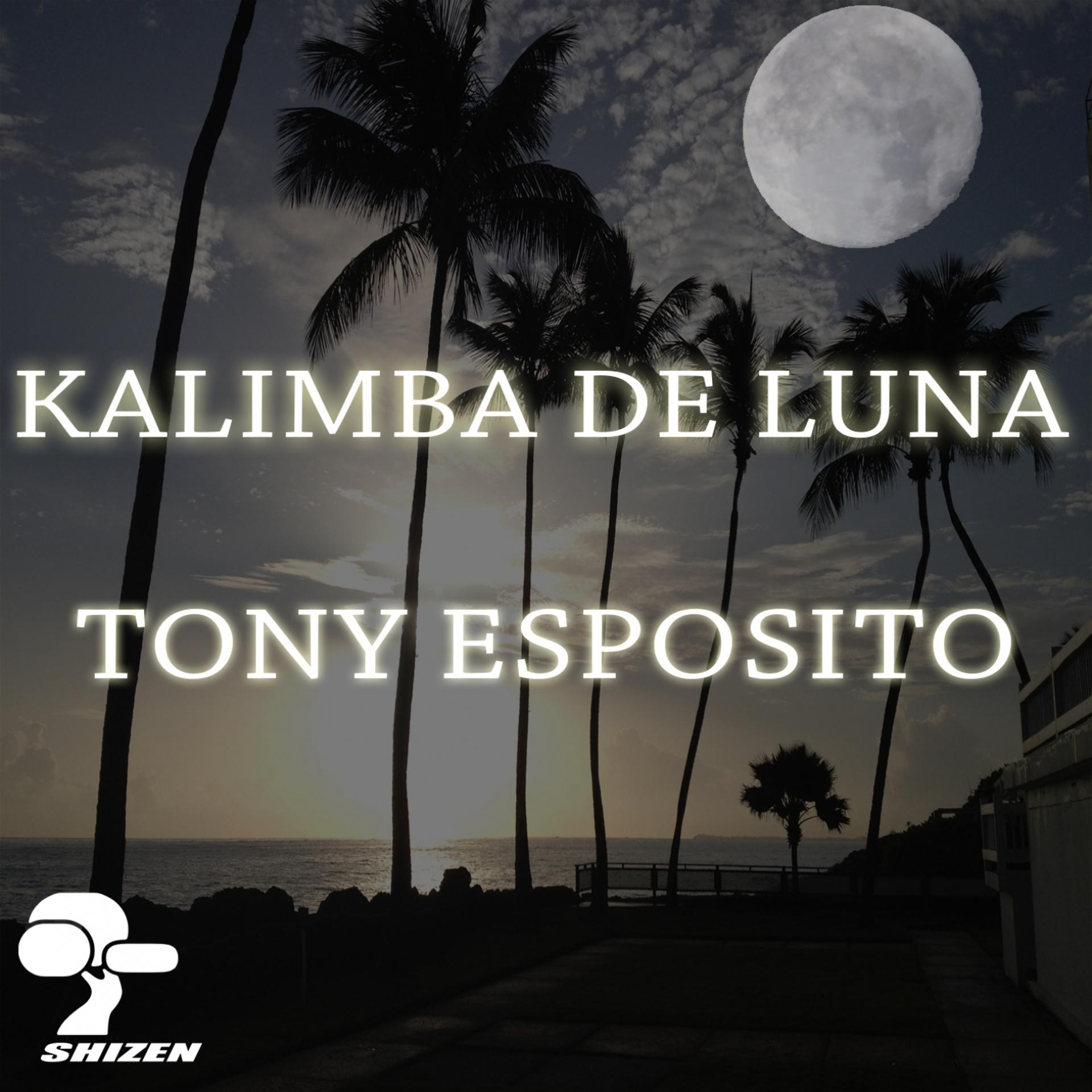 Постер альбома Kalimba de Luna