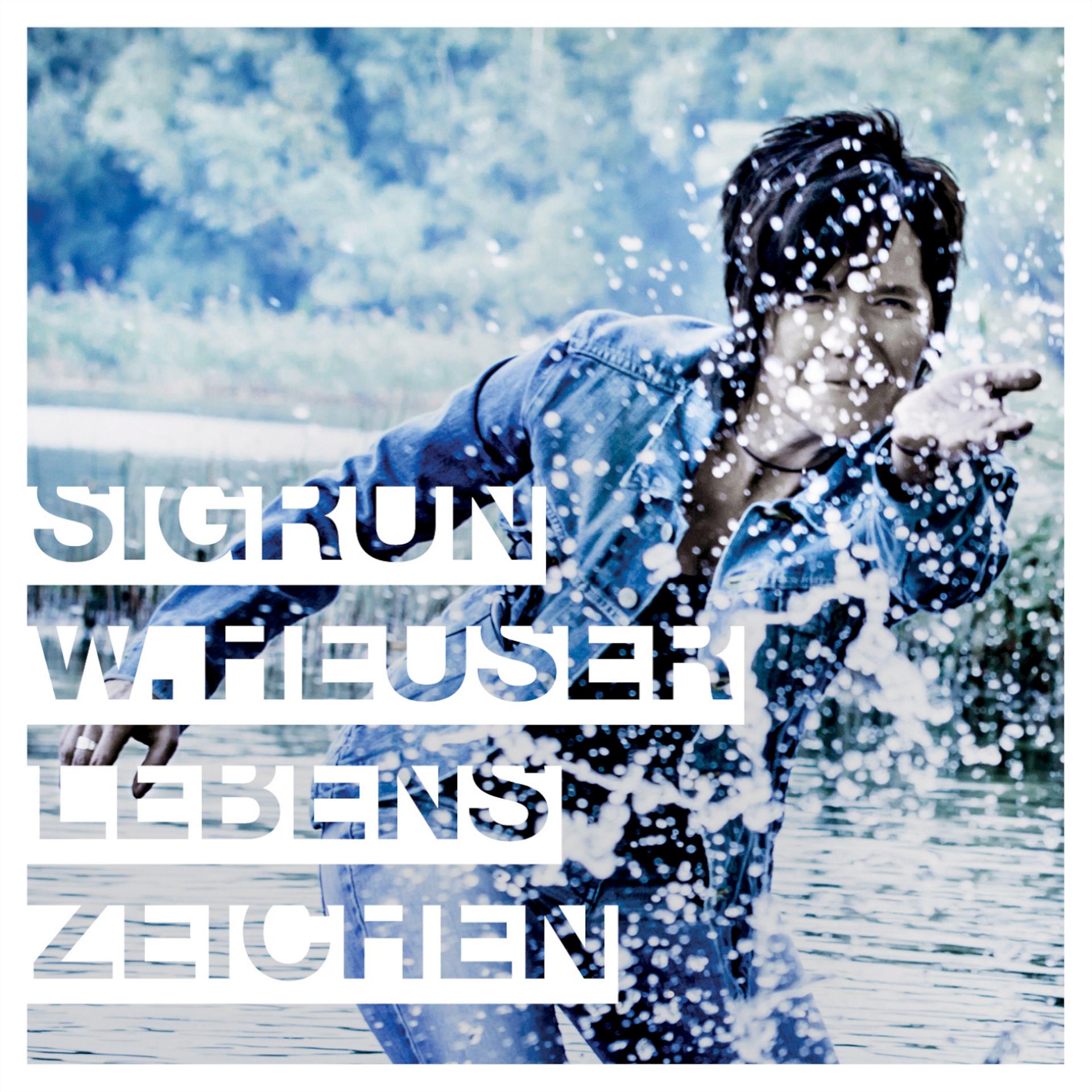 Постер альбома Lebenszeichen