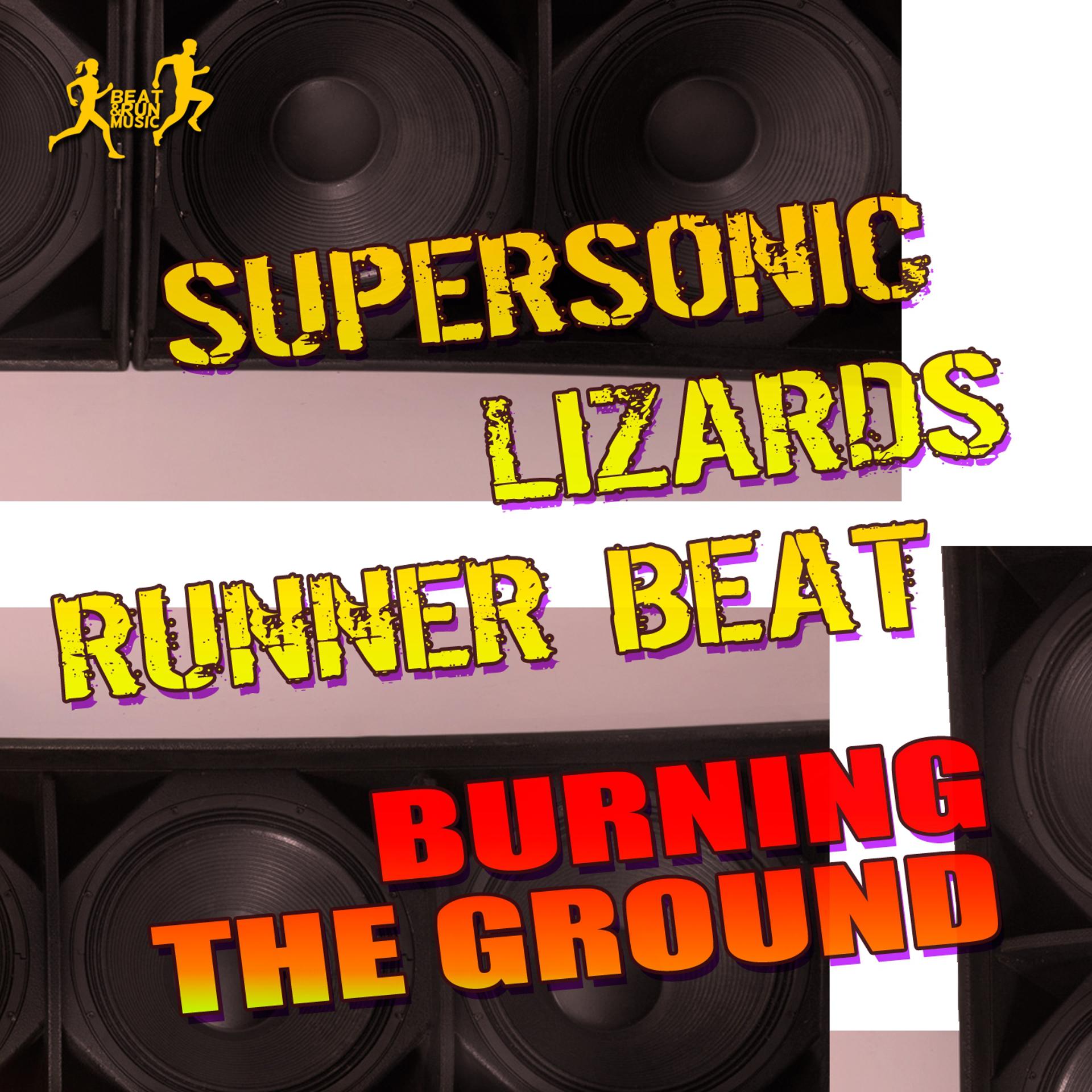 Постер альбома Burning the Ground