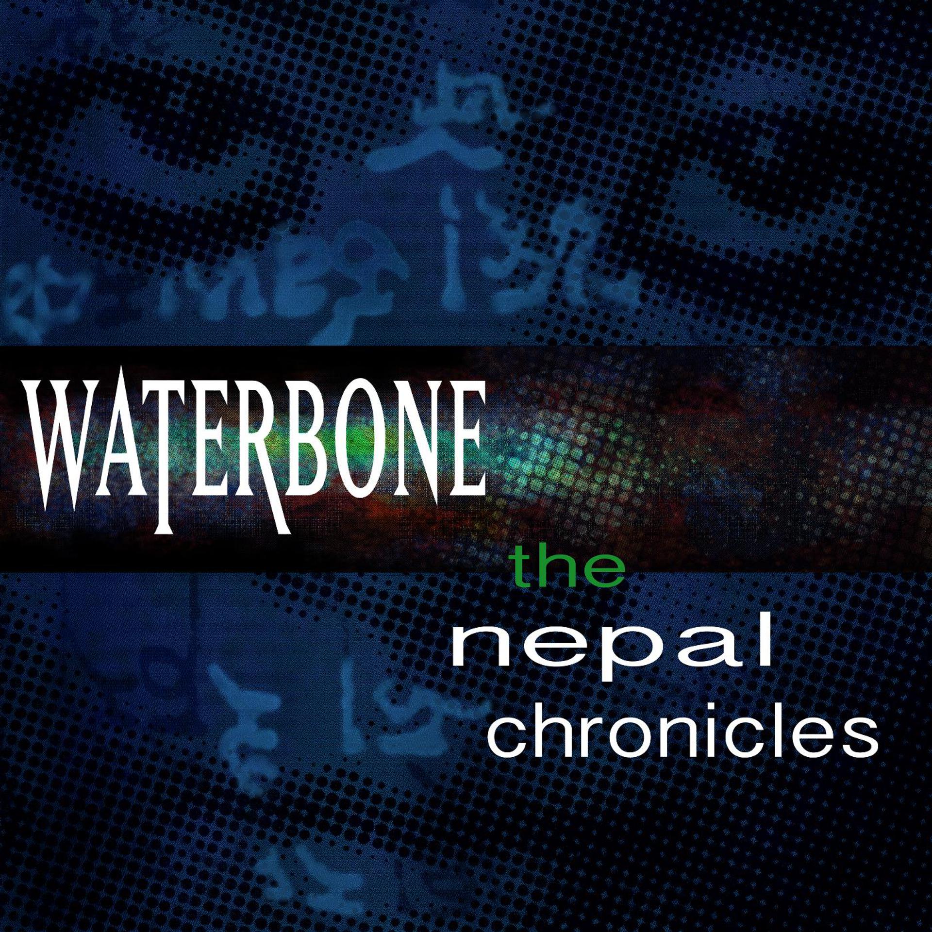 Постер альбома The Nepal Chronicles