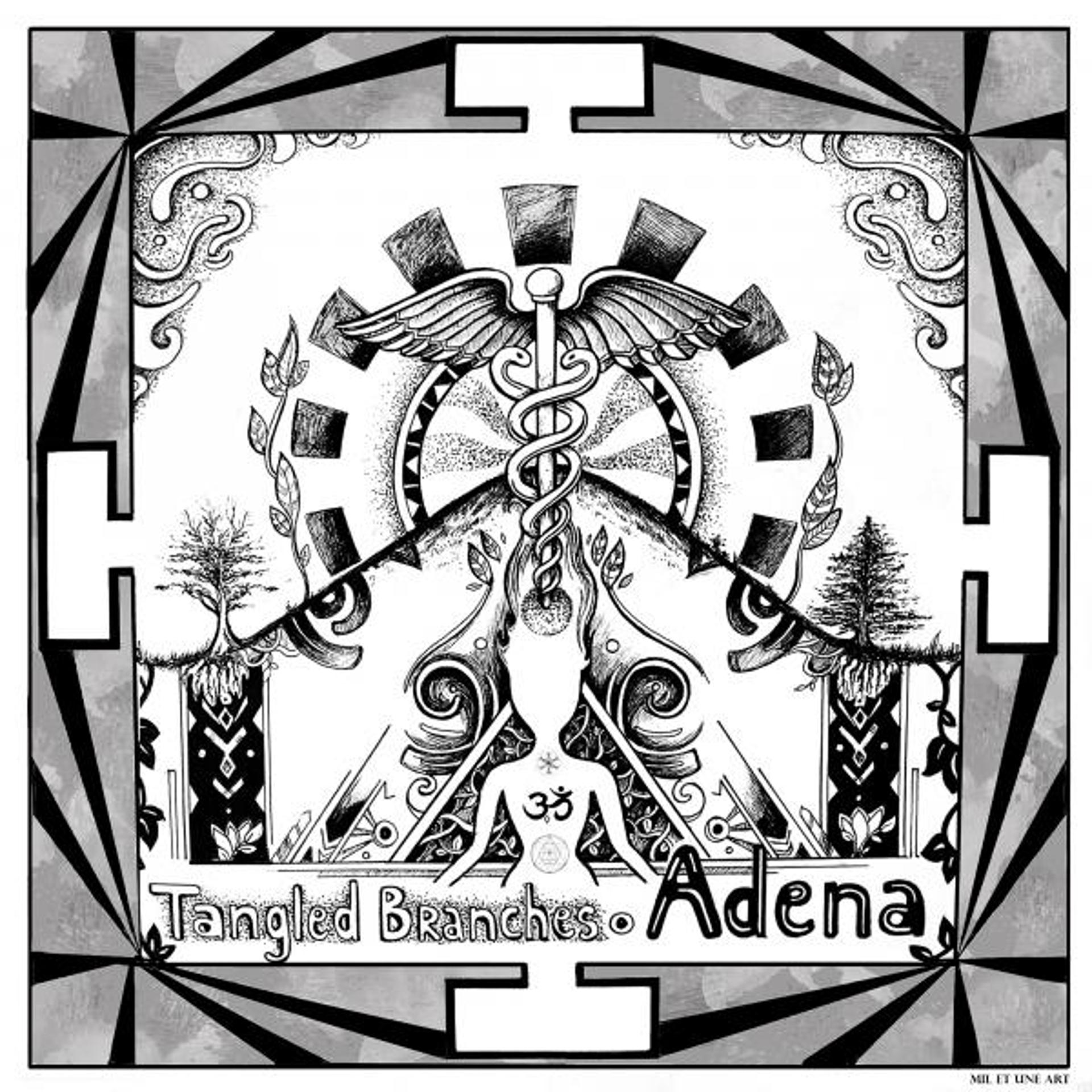 Постер альбома Adena