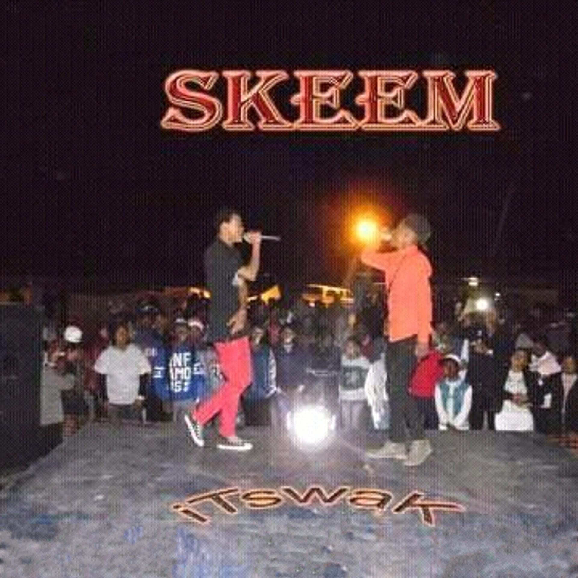 Постер альбома Skeem