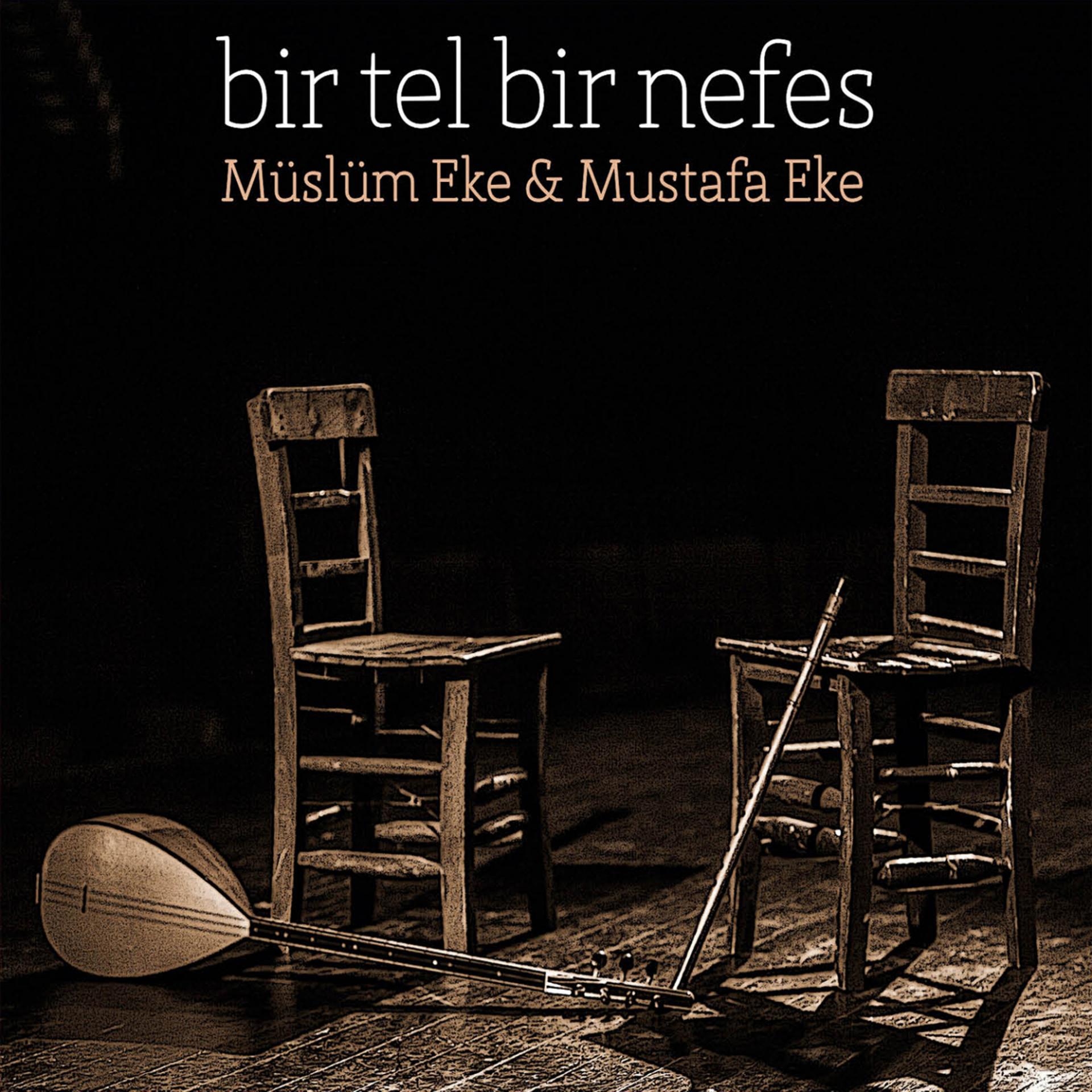Постер альбома Bir Nefes Bir Tel