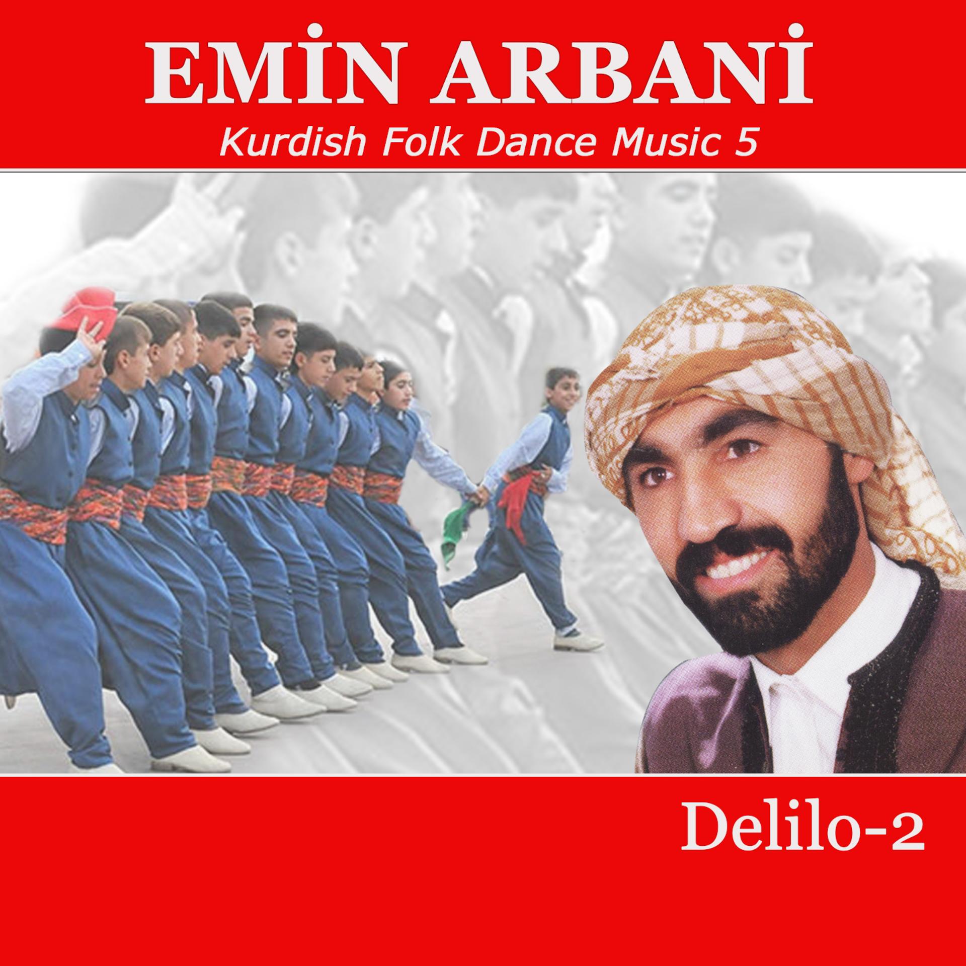 Постер альбома Delilo, Vol. 2 (Kurdish Folk Dance Music, Vol. 5)