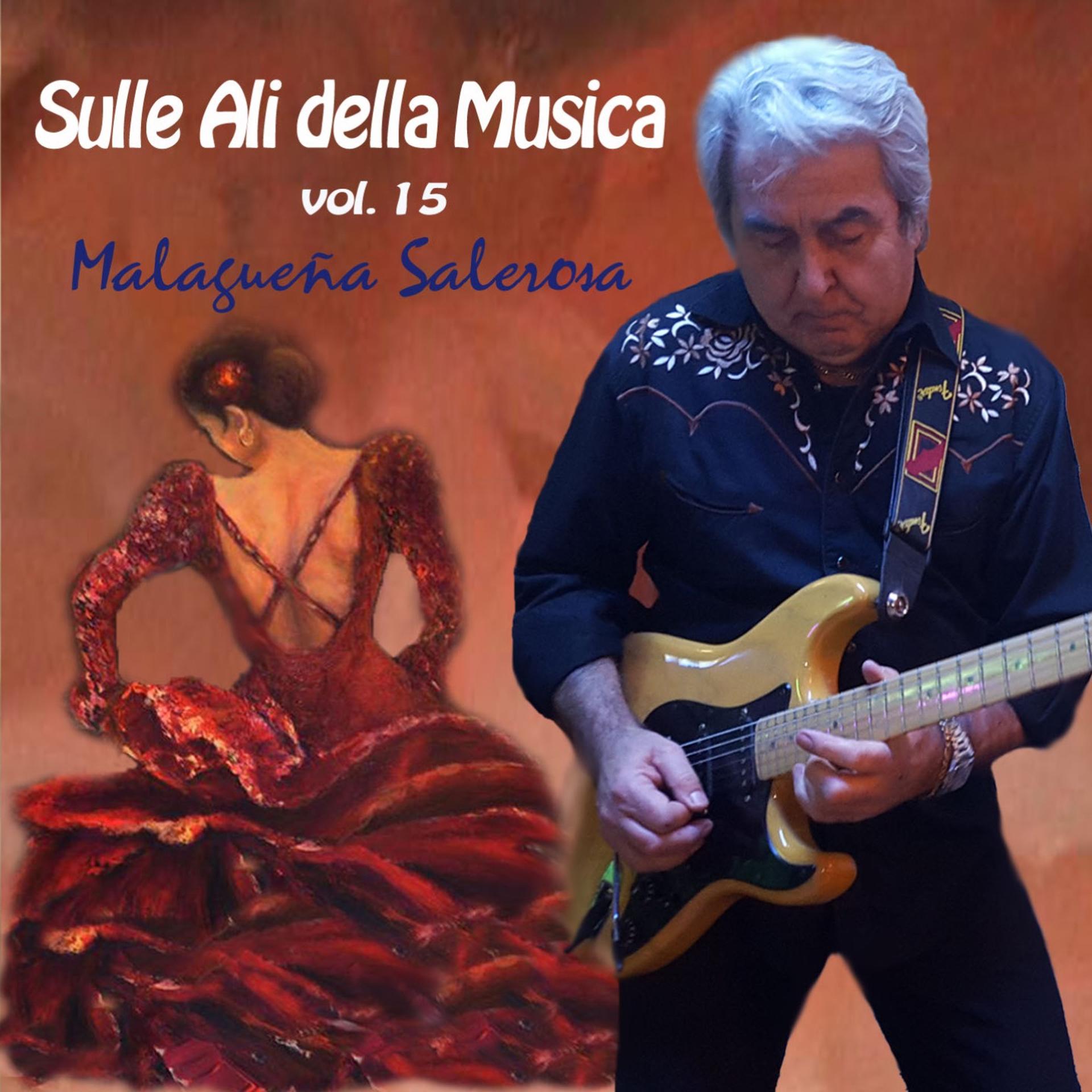 Постер альбома Sulle ali della musica, Vol. 15