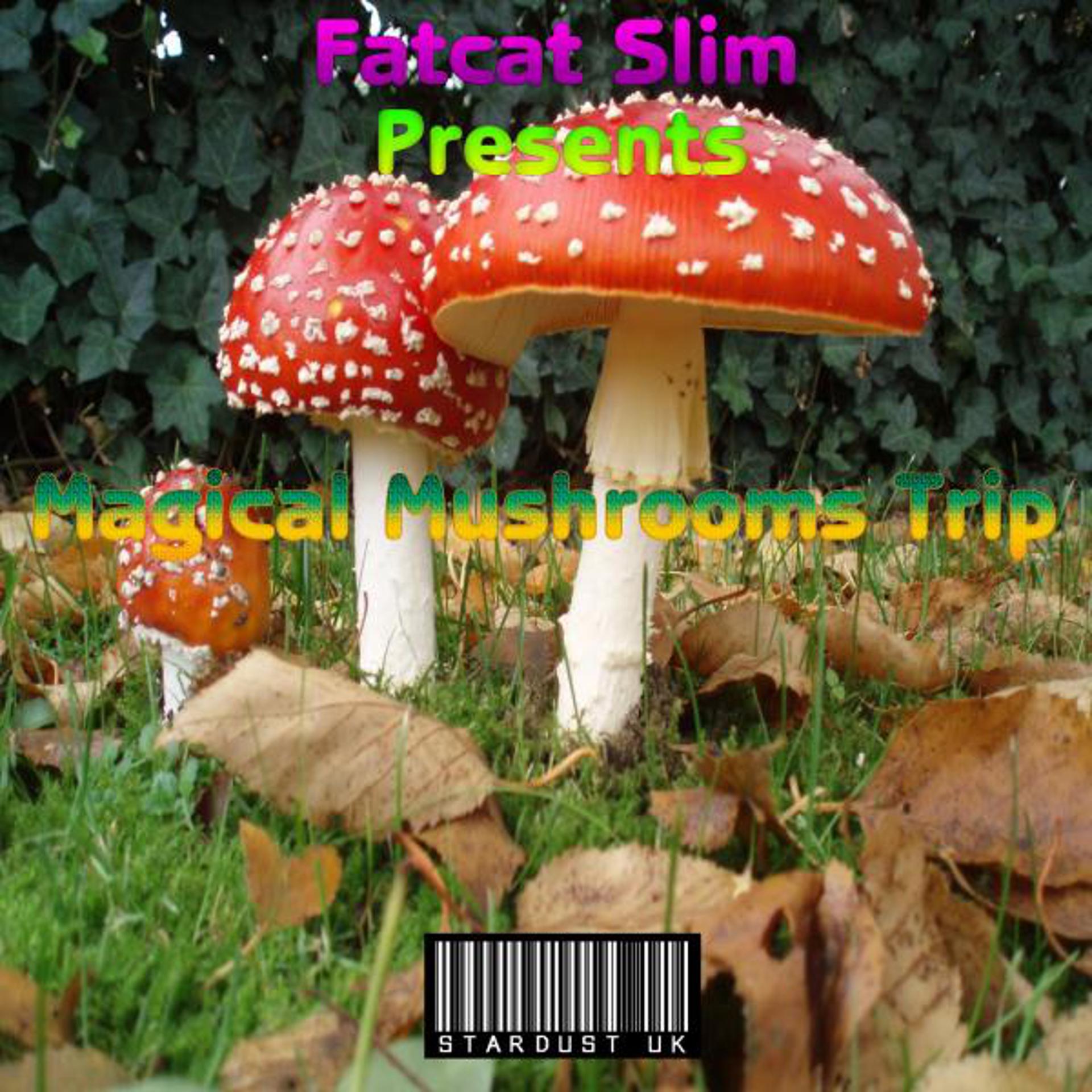 Постер альбома Magical Mushrooms Trip