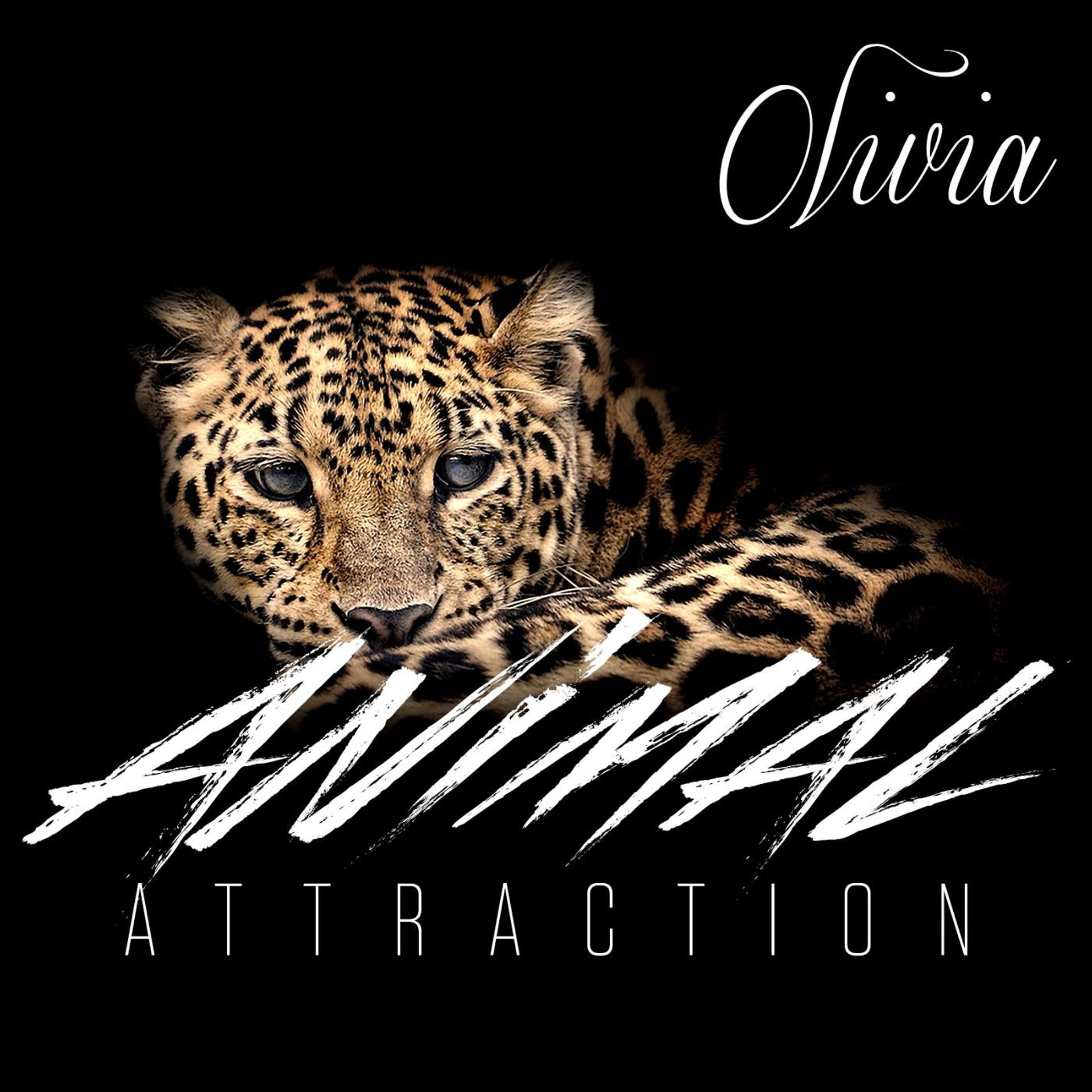Постер альбома Animal Attraction