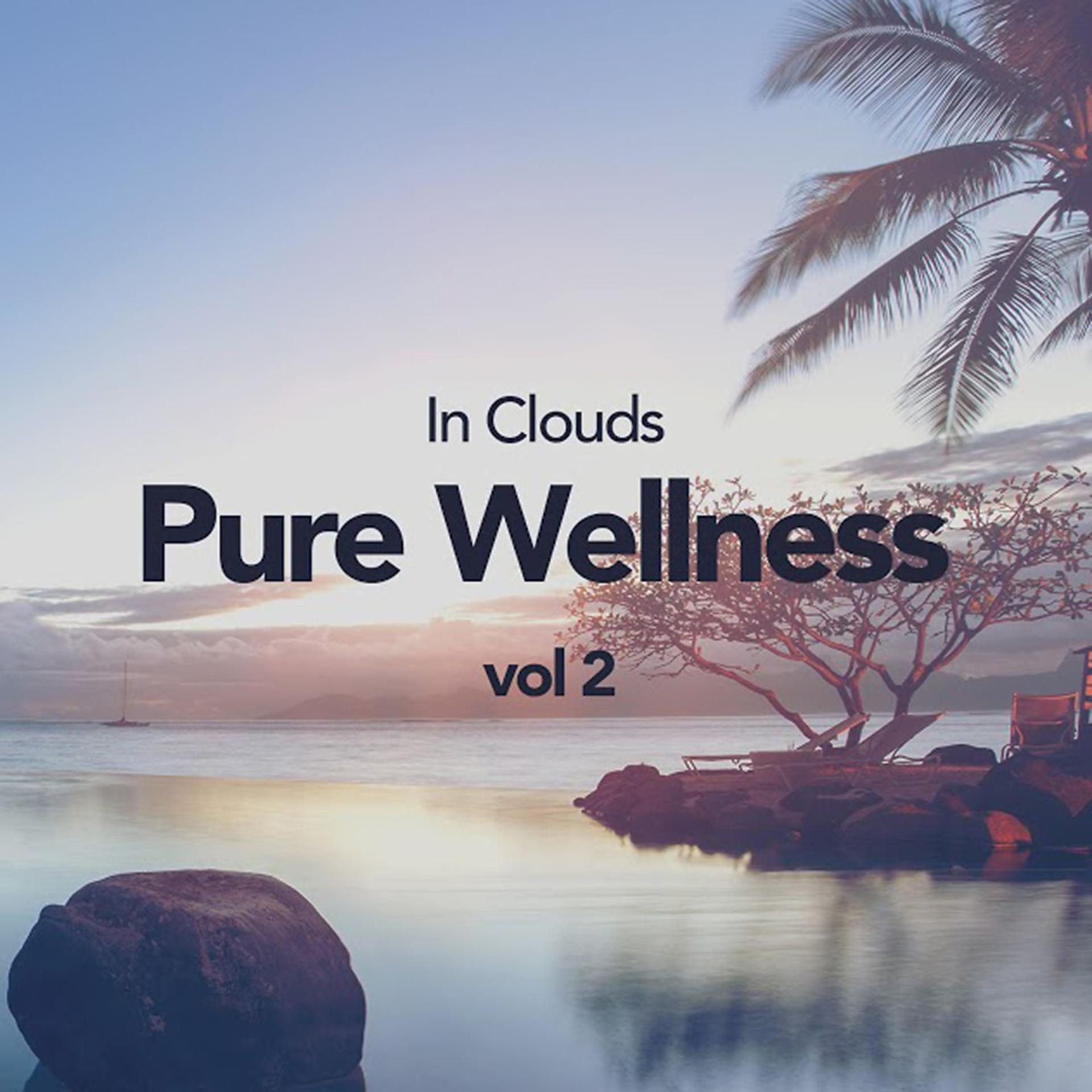 Постер альбома Pure Wellness Vol 2