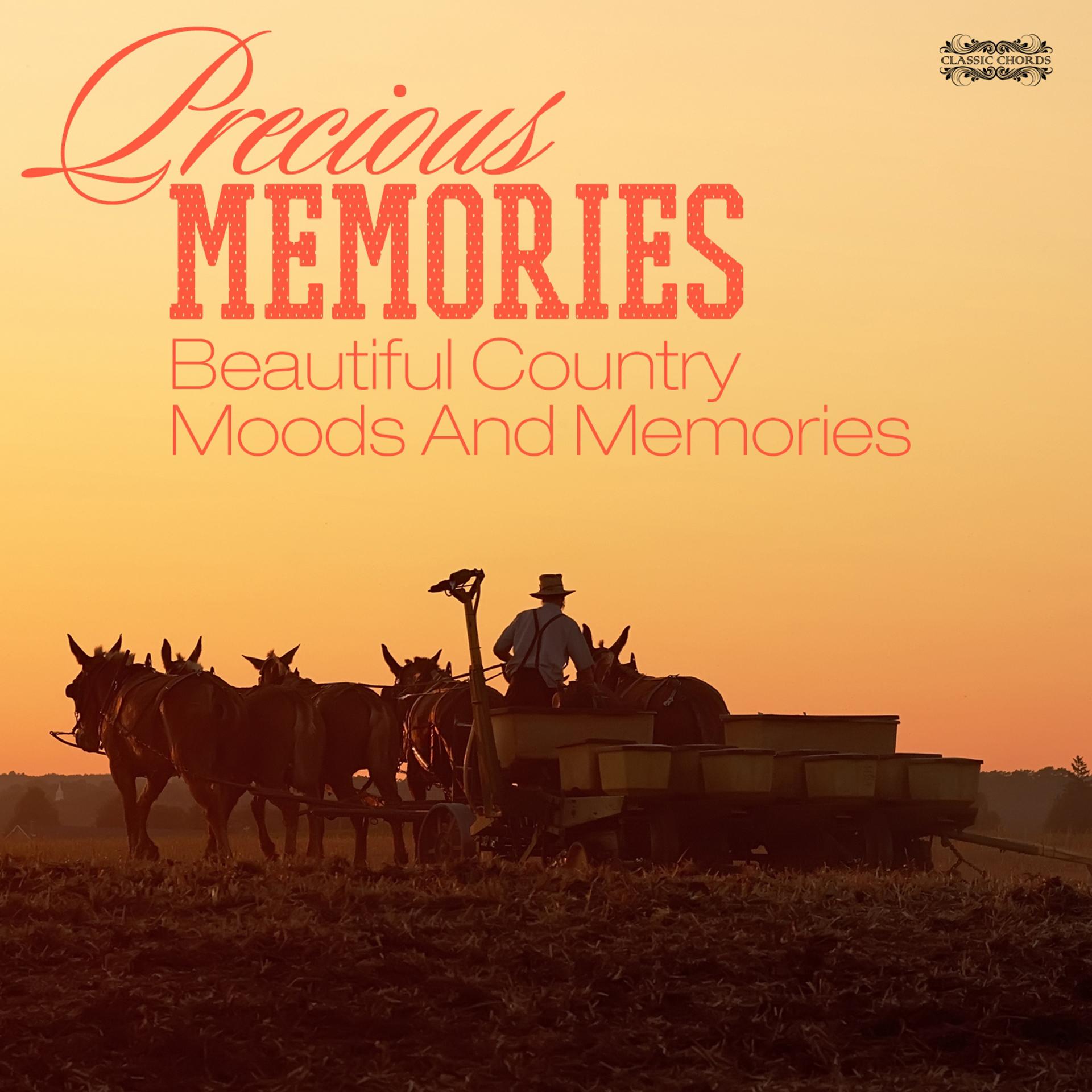 Постер альбома Precious Memories - Beautiful Country Moods And Memories