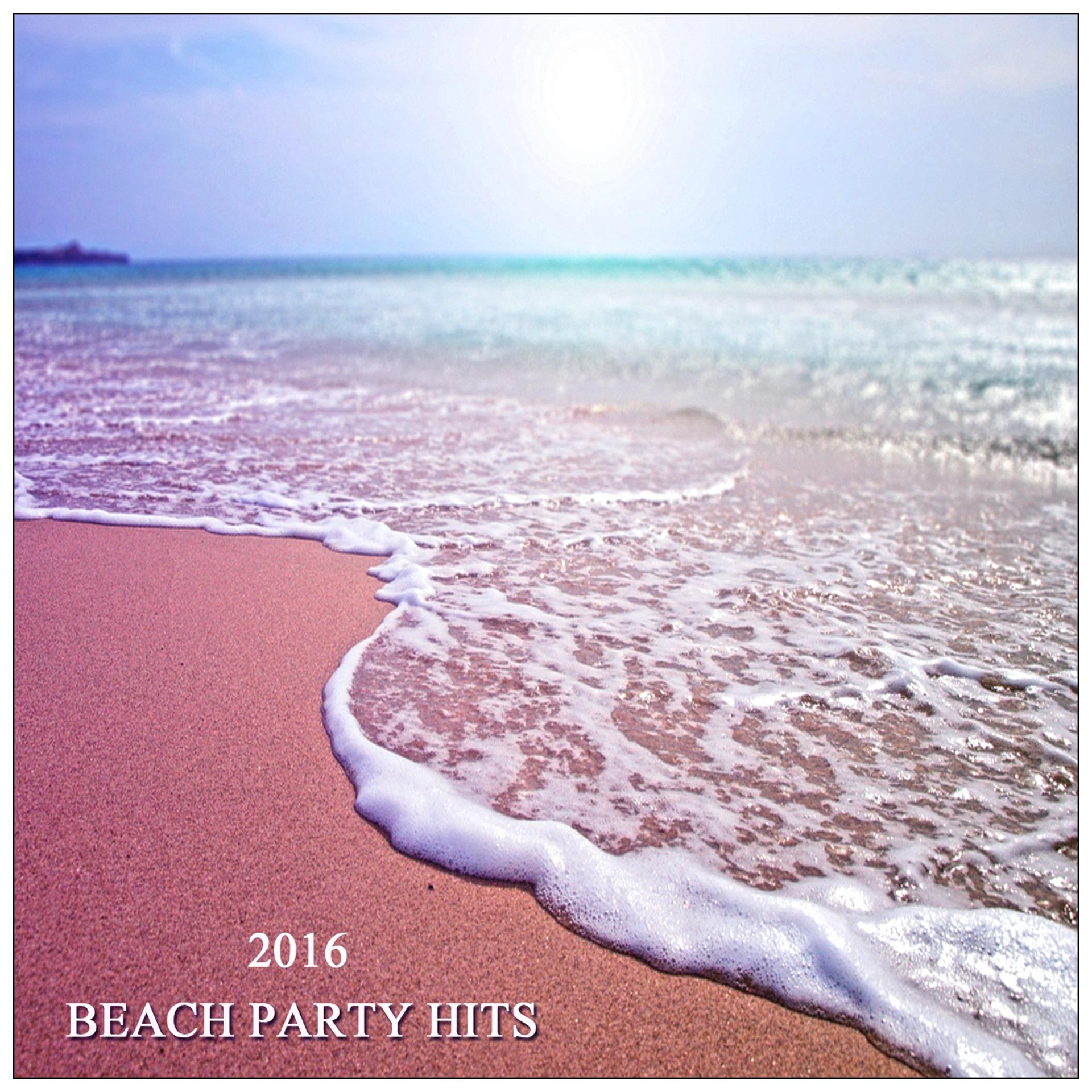 Постер альбома Beach Party Hits 2016