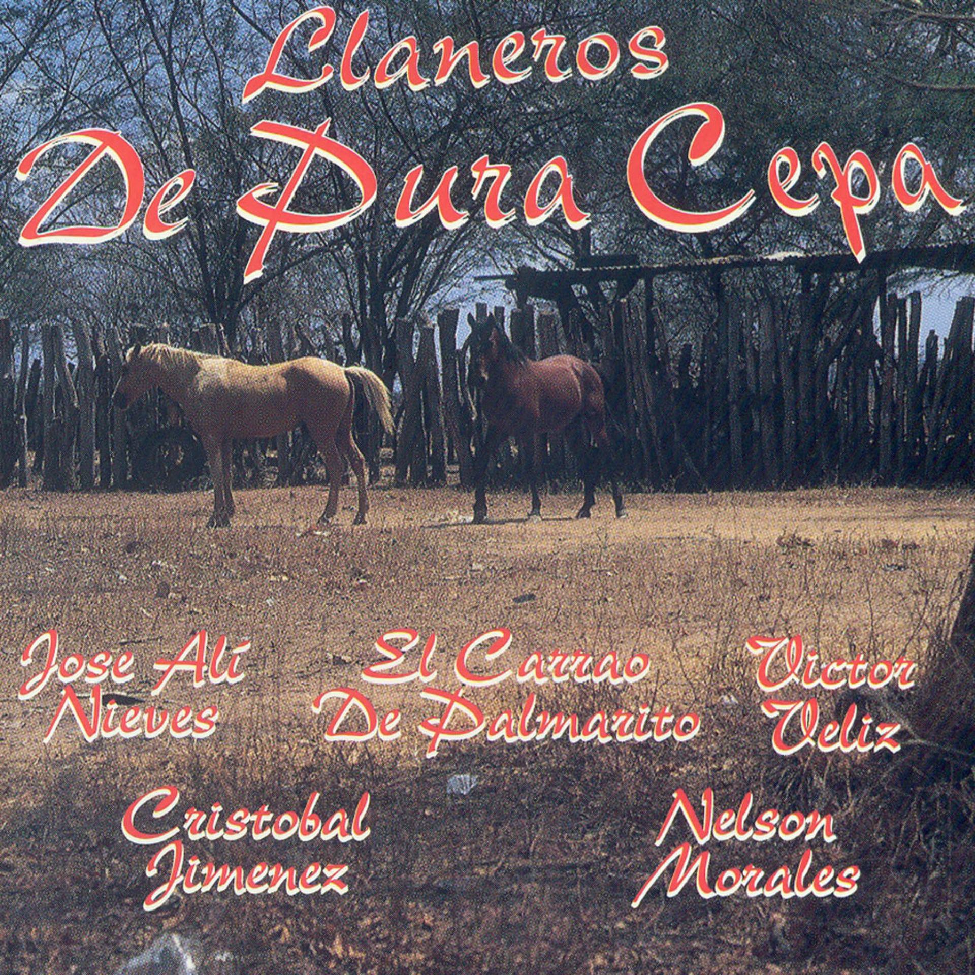 Постер альбома Llaneros de Pura Cepa