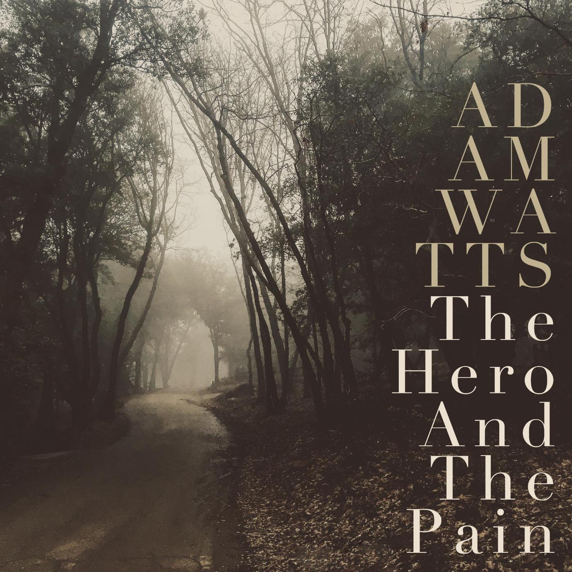 Постер альбома The Hero and the Pain