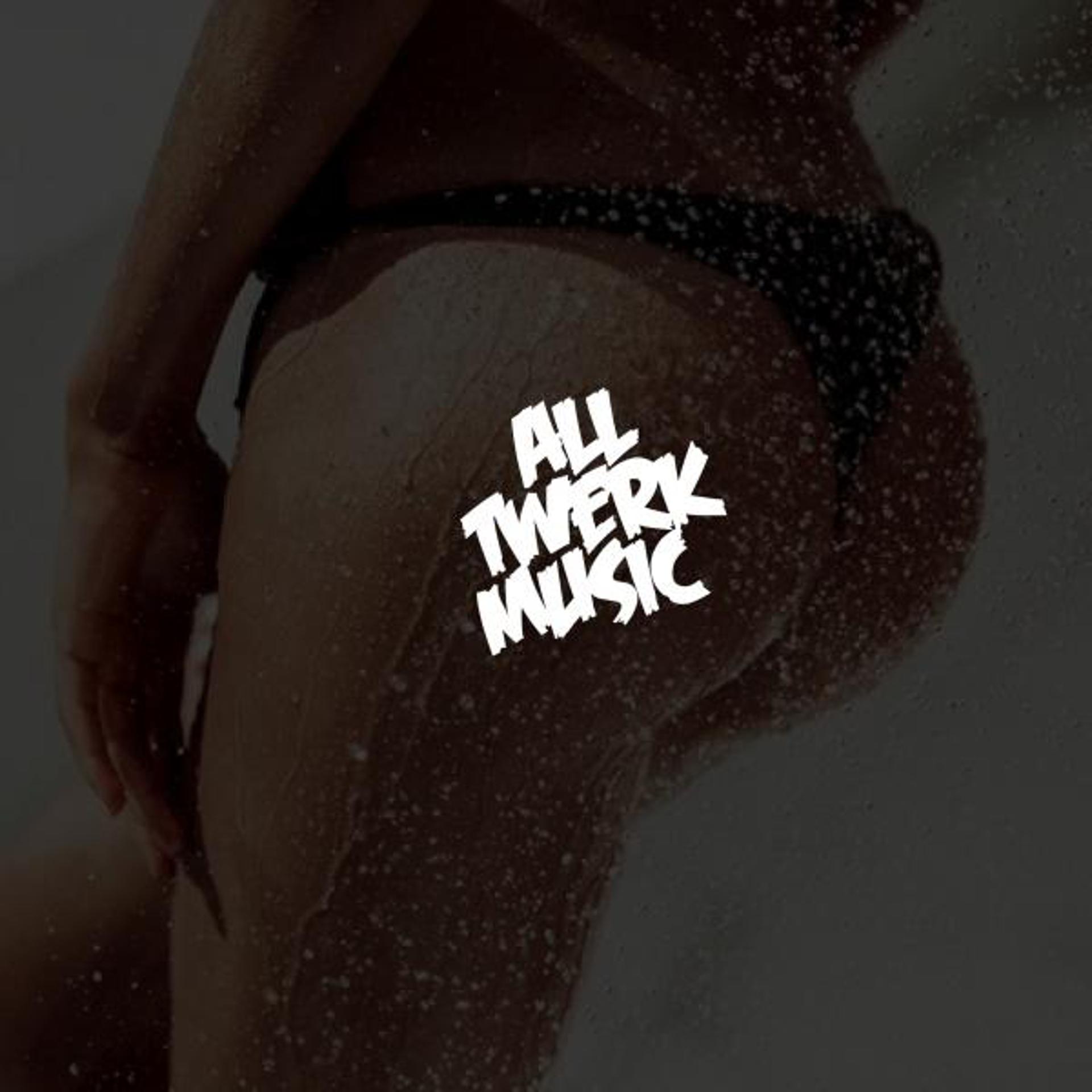Постер альбома All Twerk Music