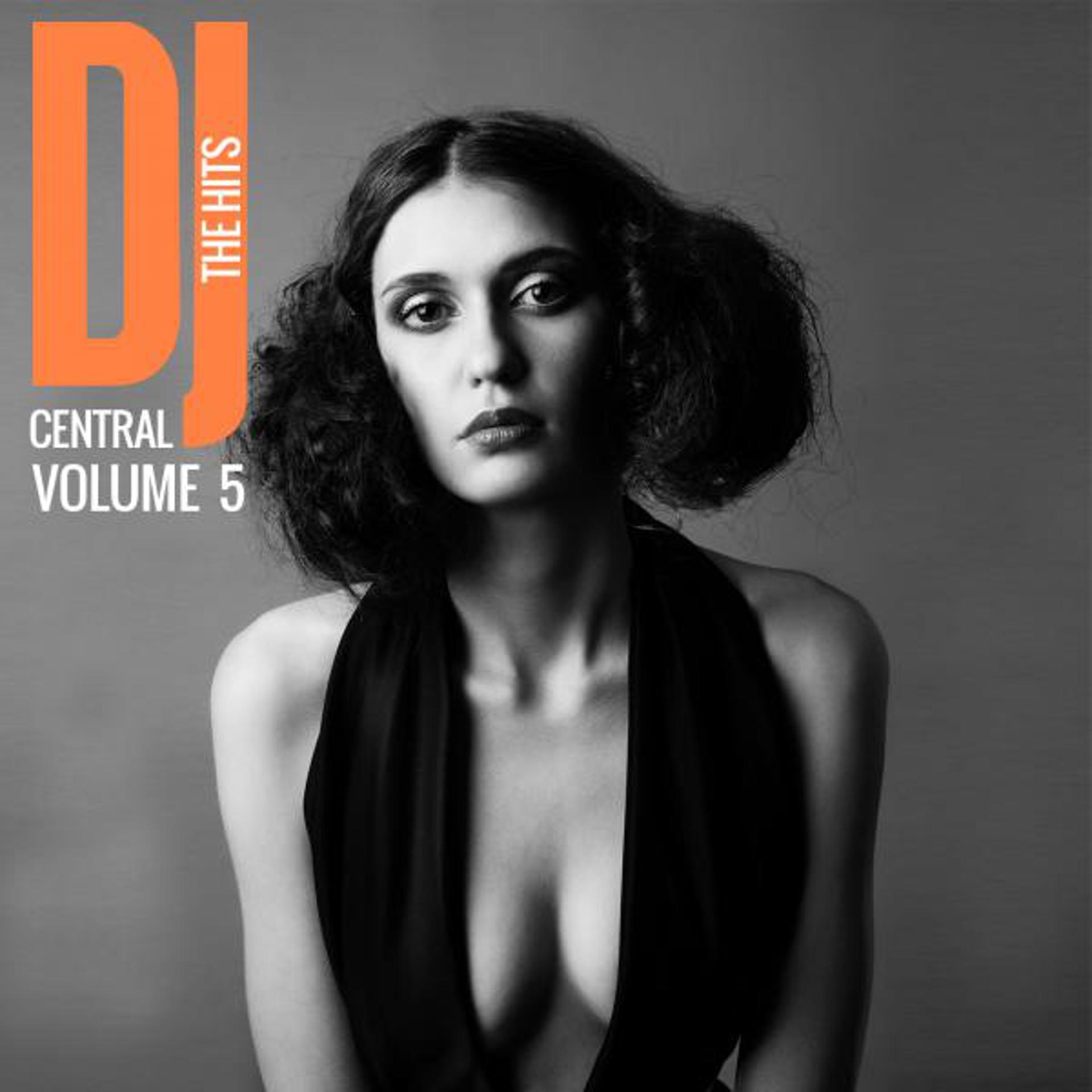 Постер альбома DJ Central The Hits, Vol. 5