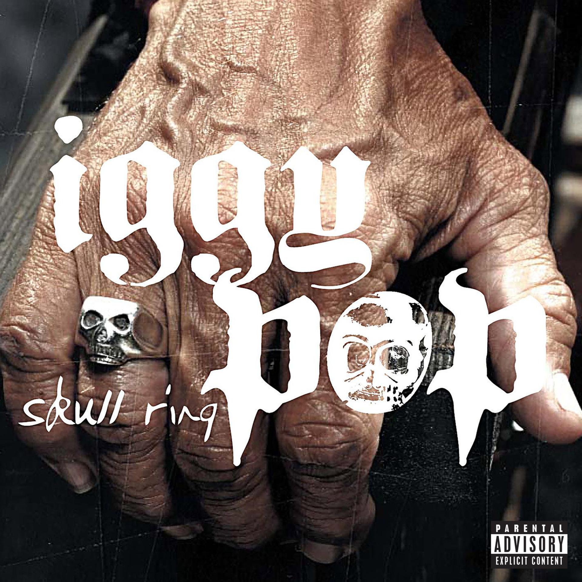 Постер к треку Iggy Pop, Sum 41 - Little Know It All