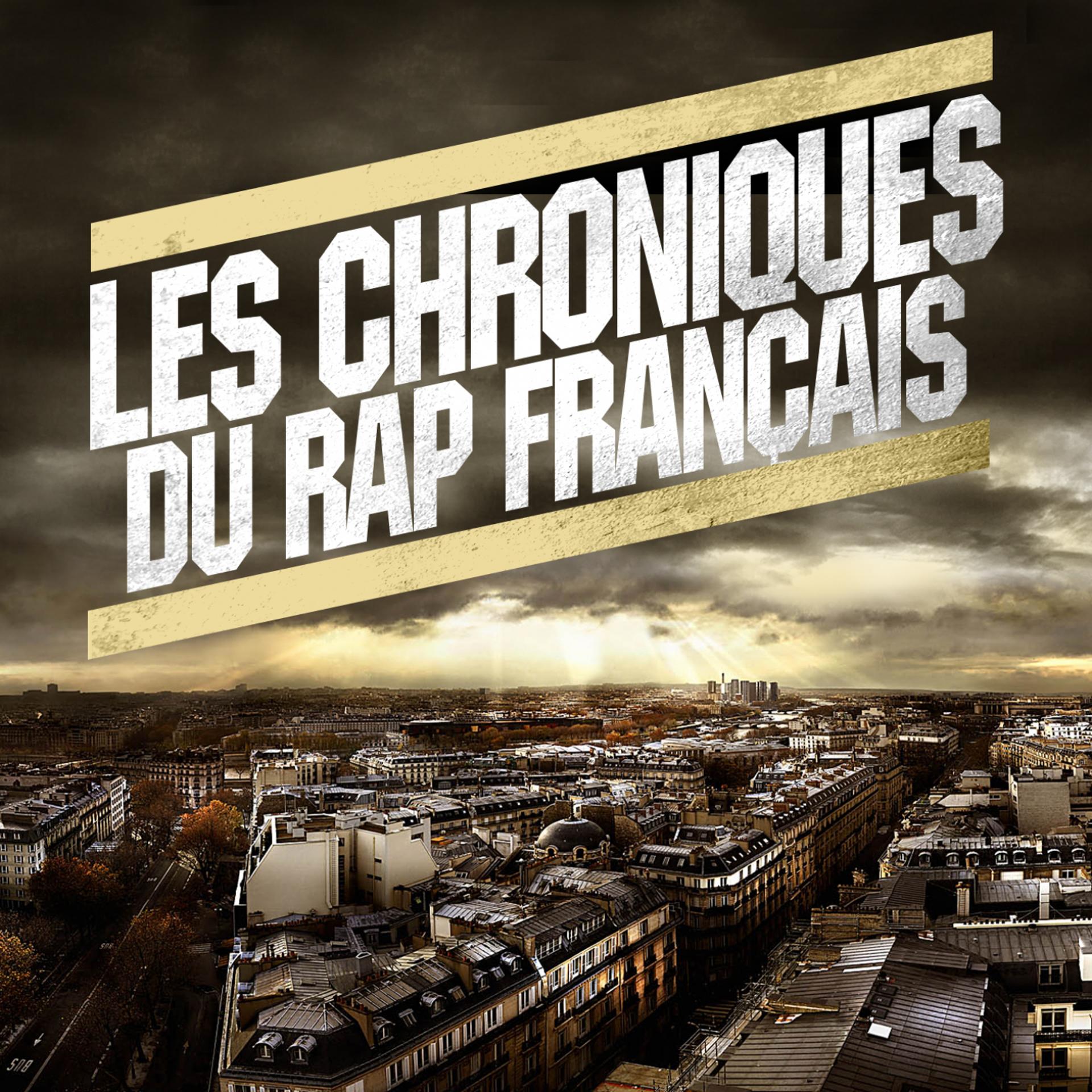Постер альбома Les chroniques du rap fr