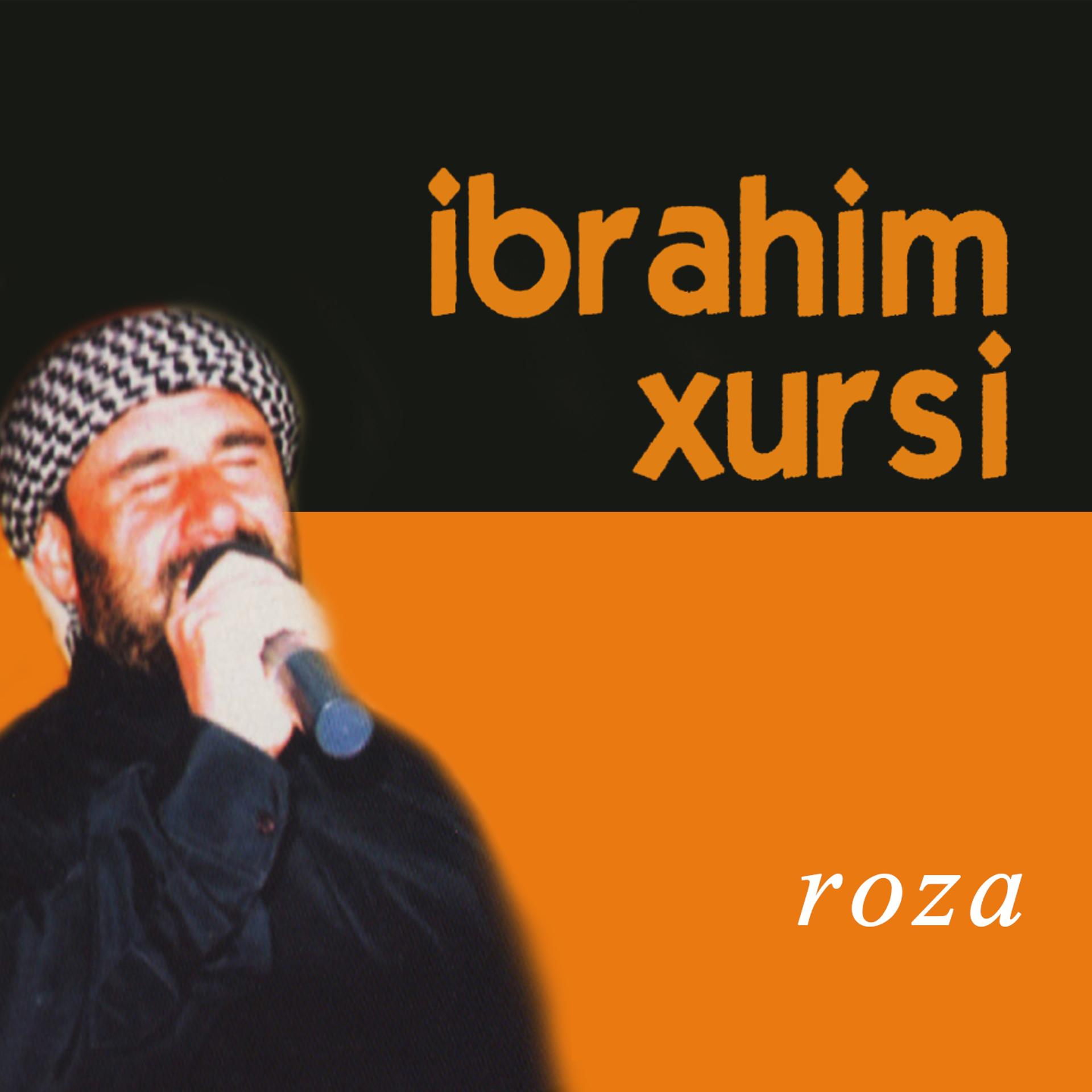 Постер альбома Roza