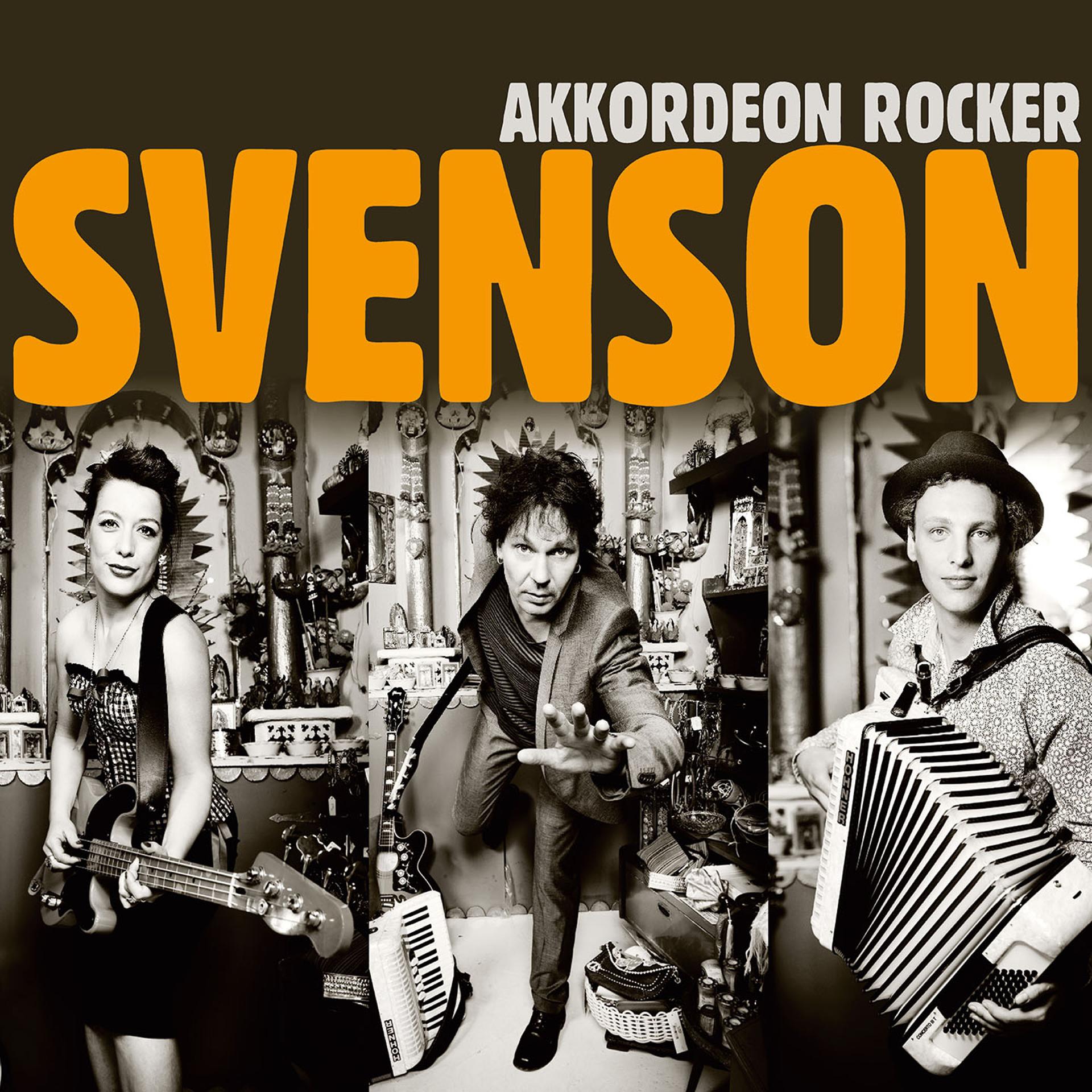 Постер альбома Akkordeon Rocker