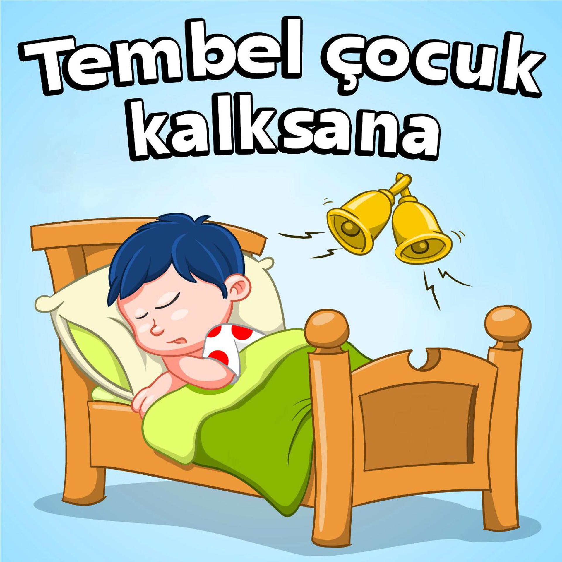 Постер альбома Tembel çocuk kalksana