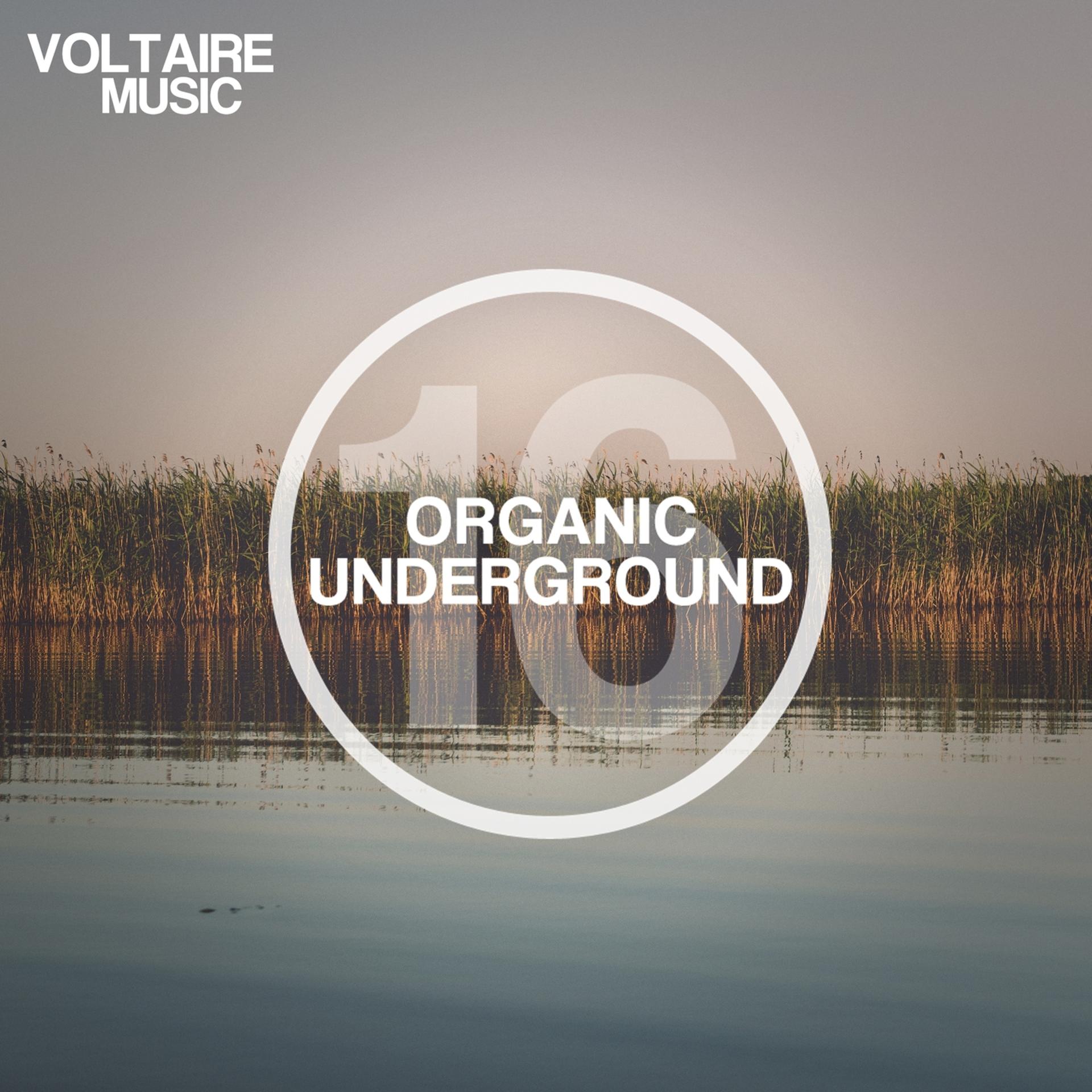Постер альбома Organic Underground Issue 16