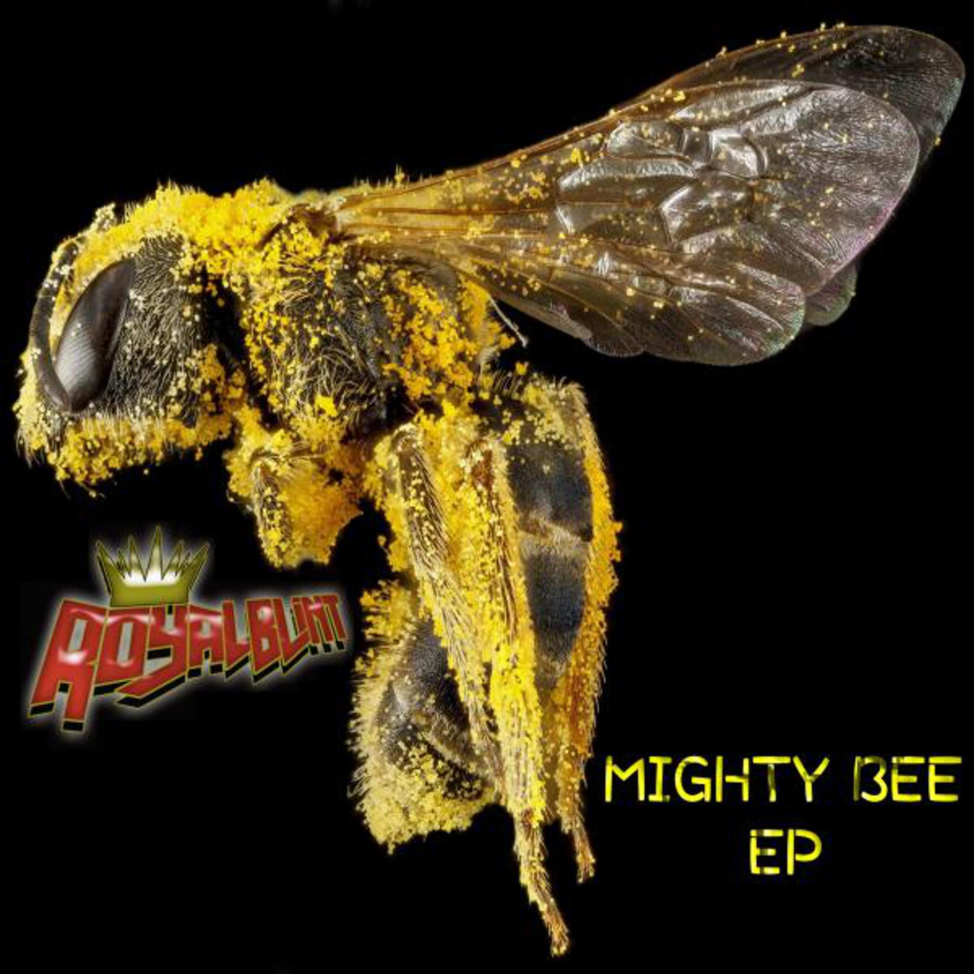 Постер альбома Mighty Bee EP