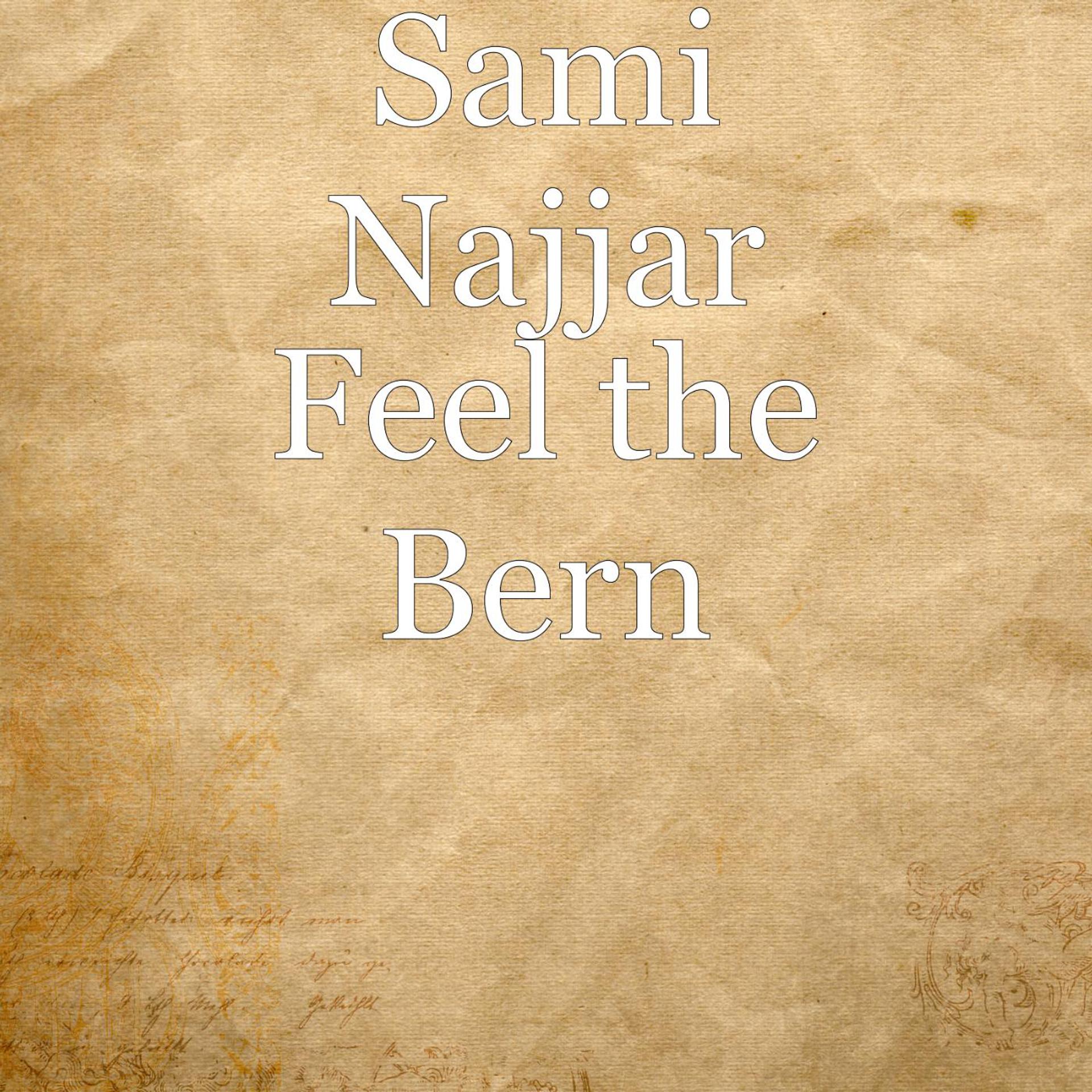 Постер альбома Feel the Bern
