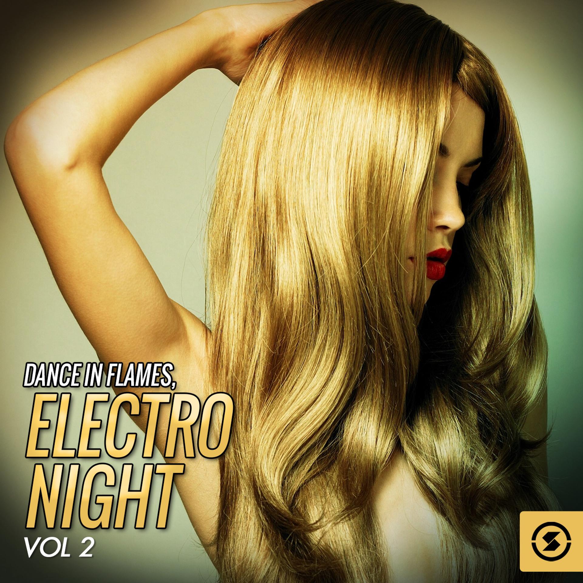 Постер альбома Dance in Flames: Electro Night, Vol. 2
