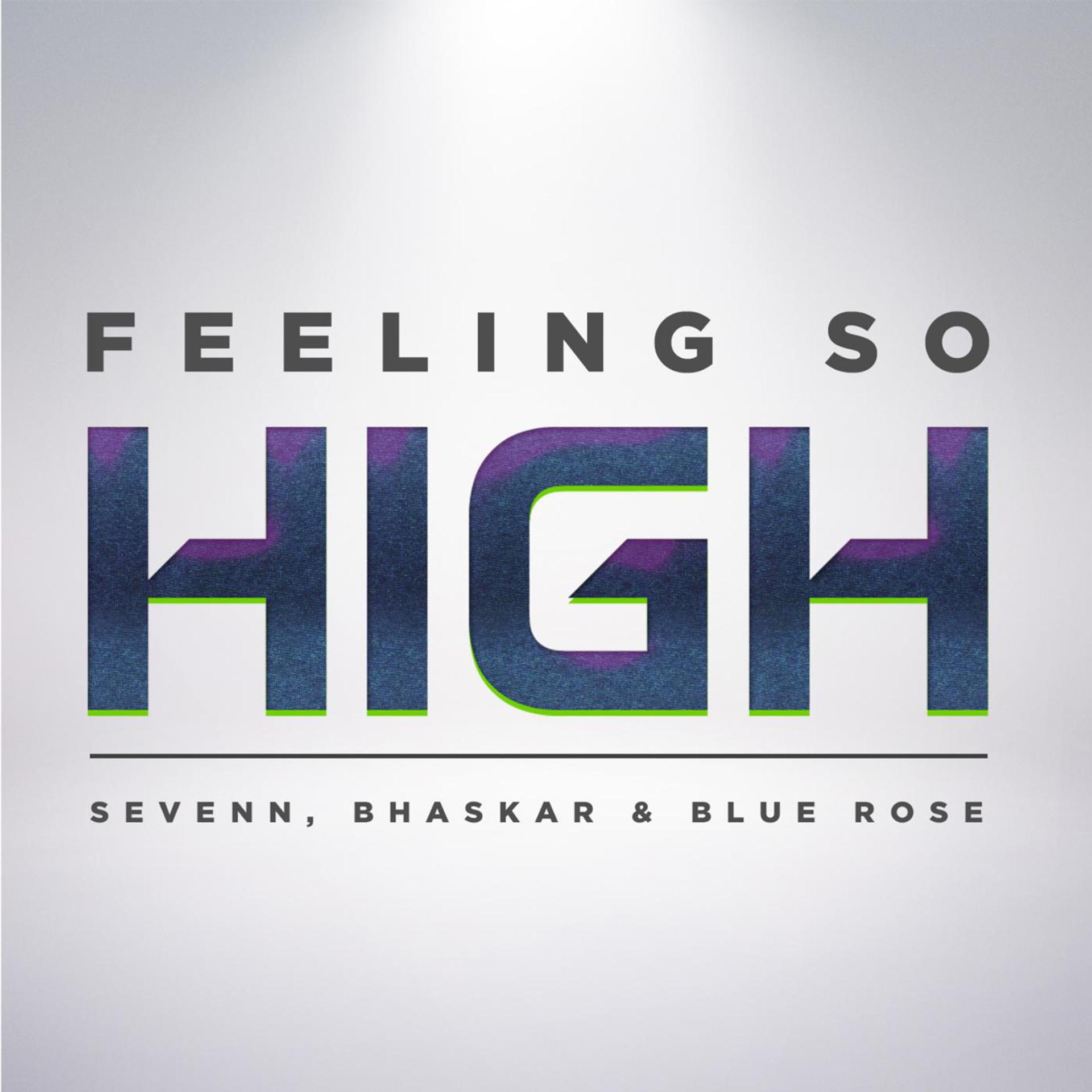 Постер альбома Feeling So High (Extended Mix)