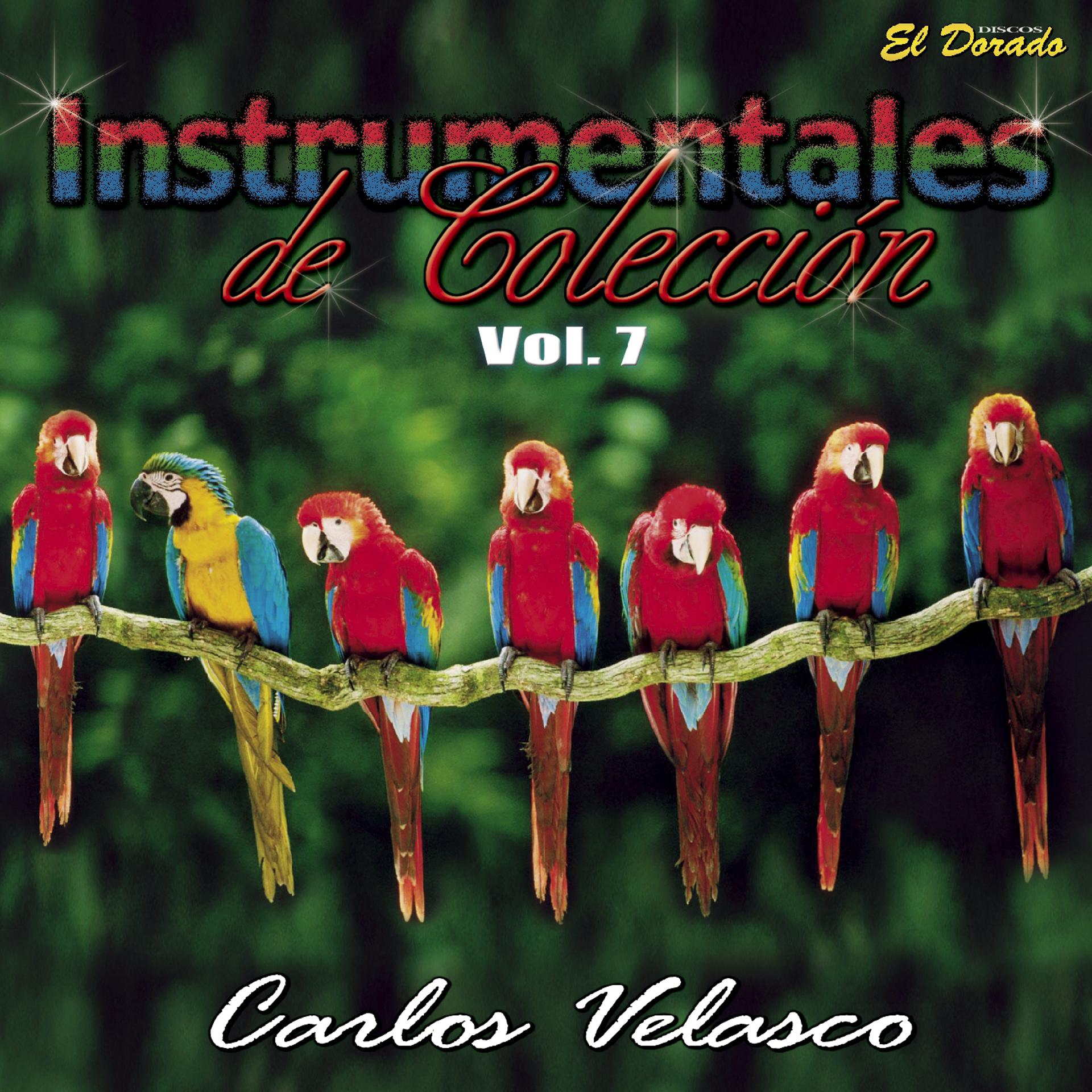 Постер альбома Instrumentales de Colección, Vol. 7