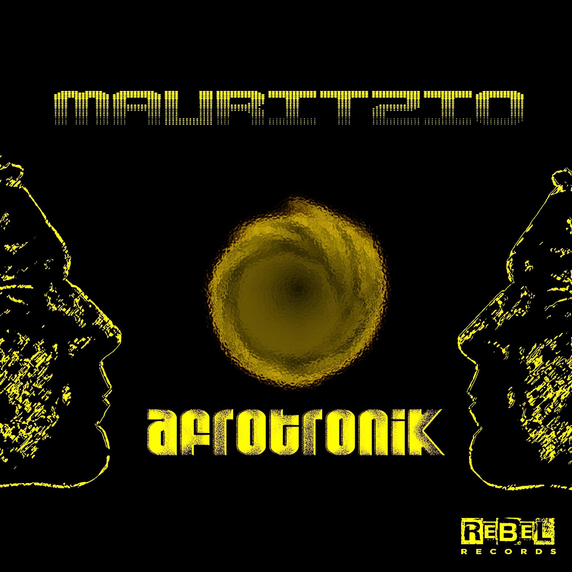 Постер альбома Afrotronik
