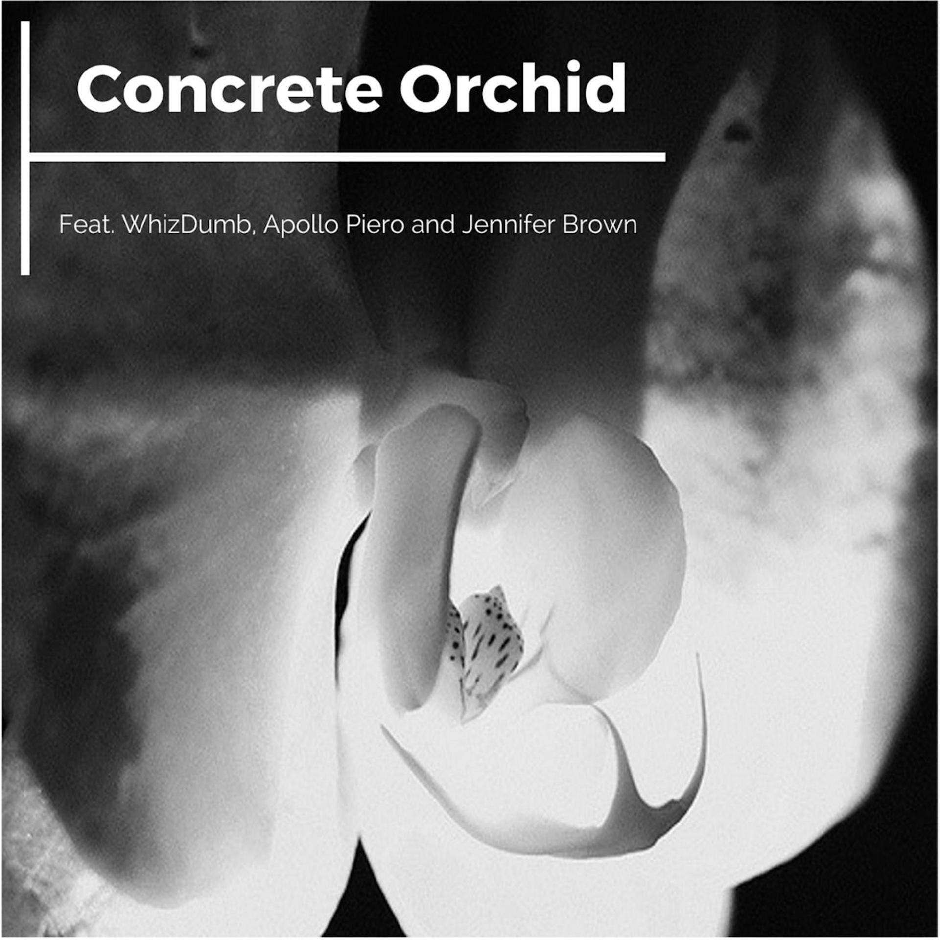 Постер альбома Concrete Orchid (feat. Jennifer Brown)