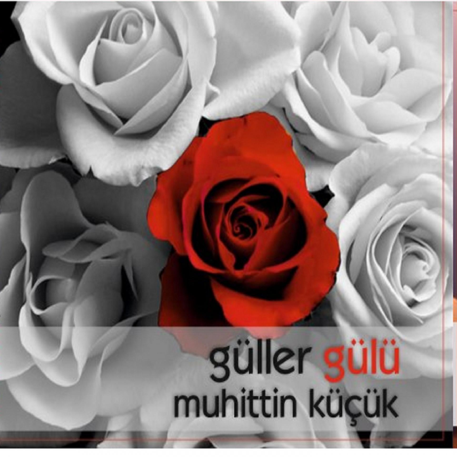 Постер альбома Güller Gülü